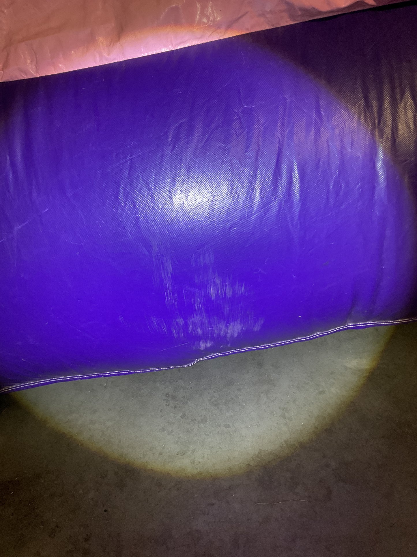 Disney Princess Bounce