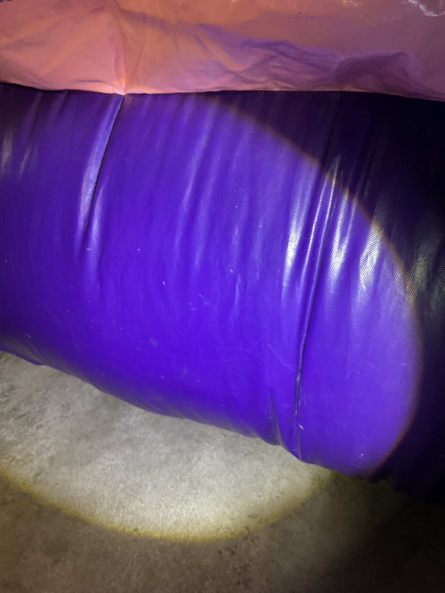 Disney Princess Bounce