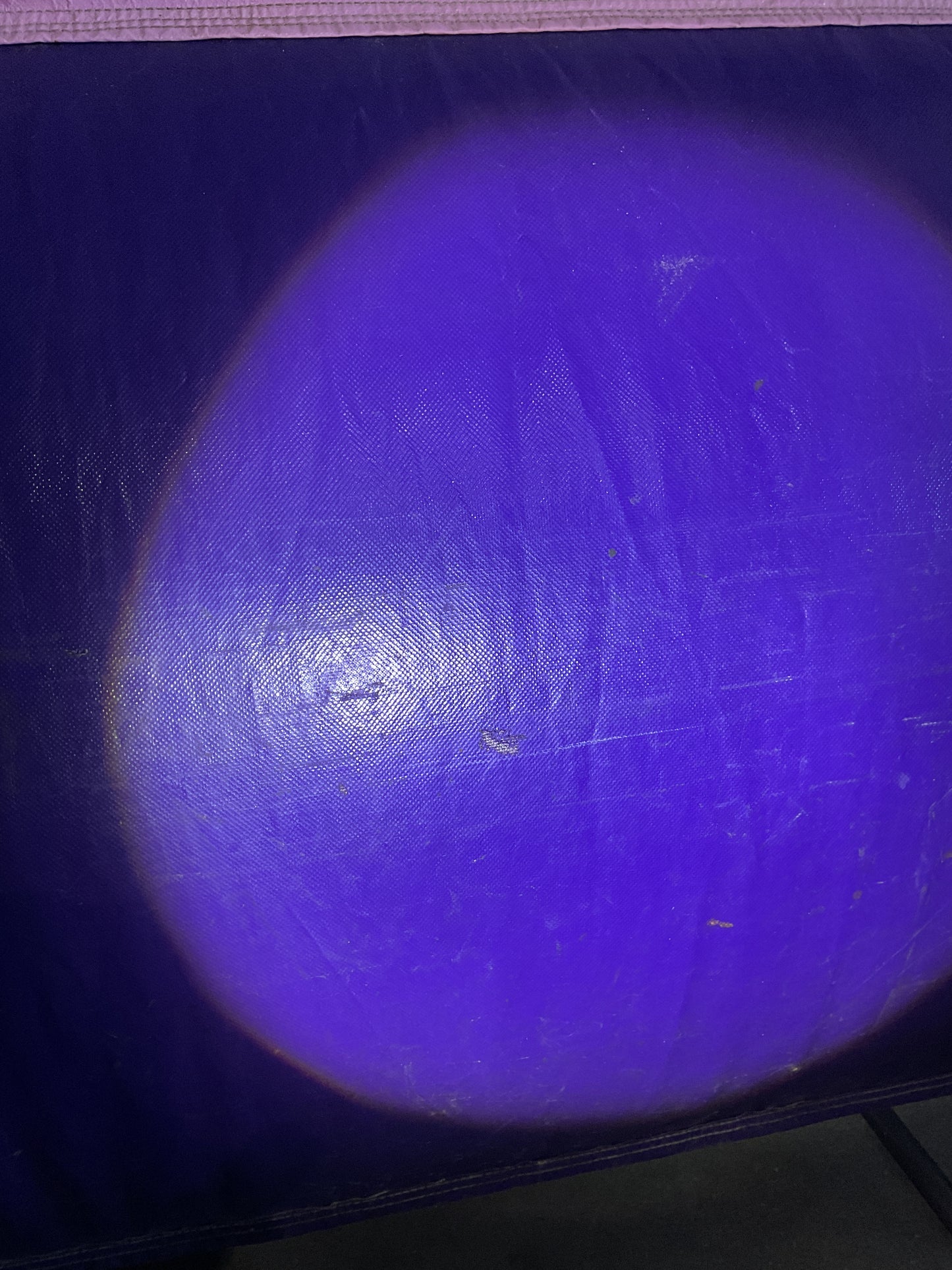 Disney Princess Bounce