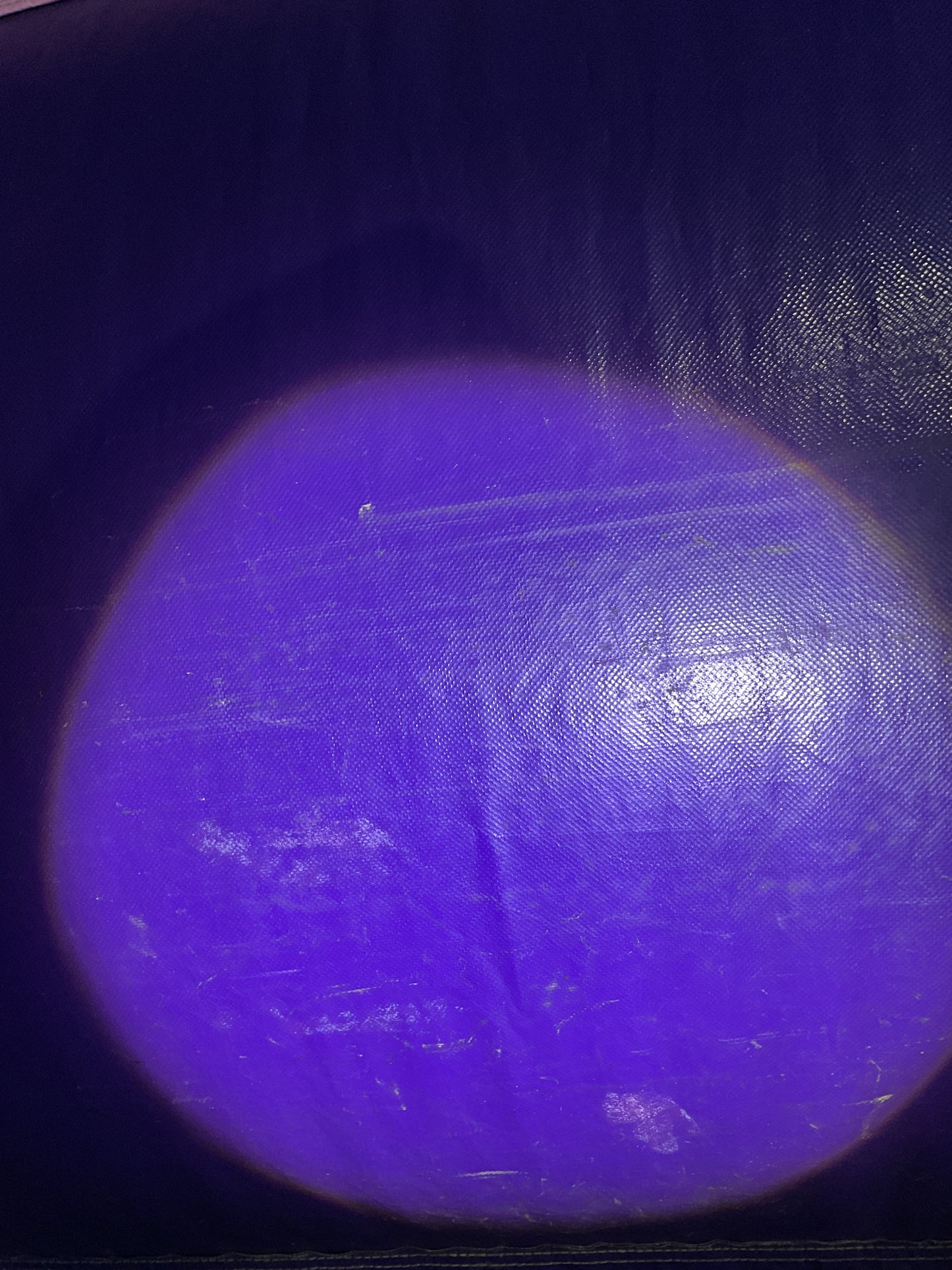 Disney Princess Bounce