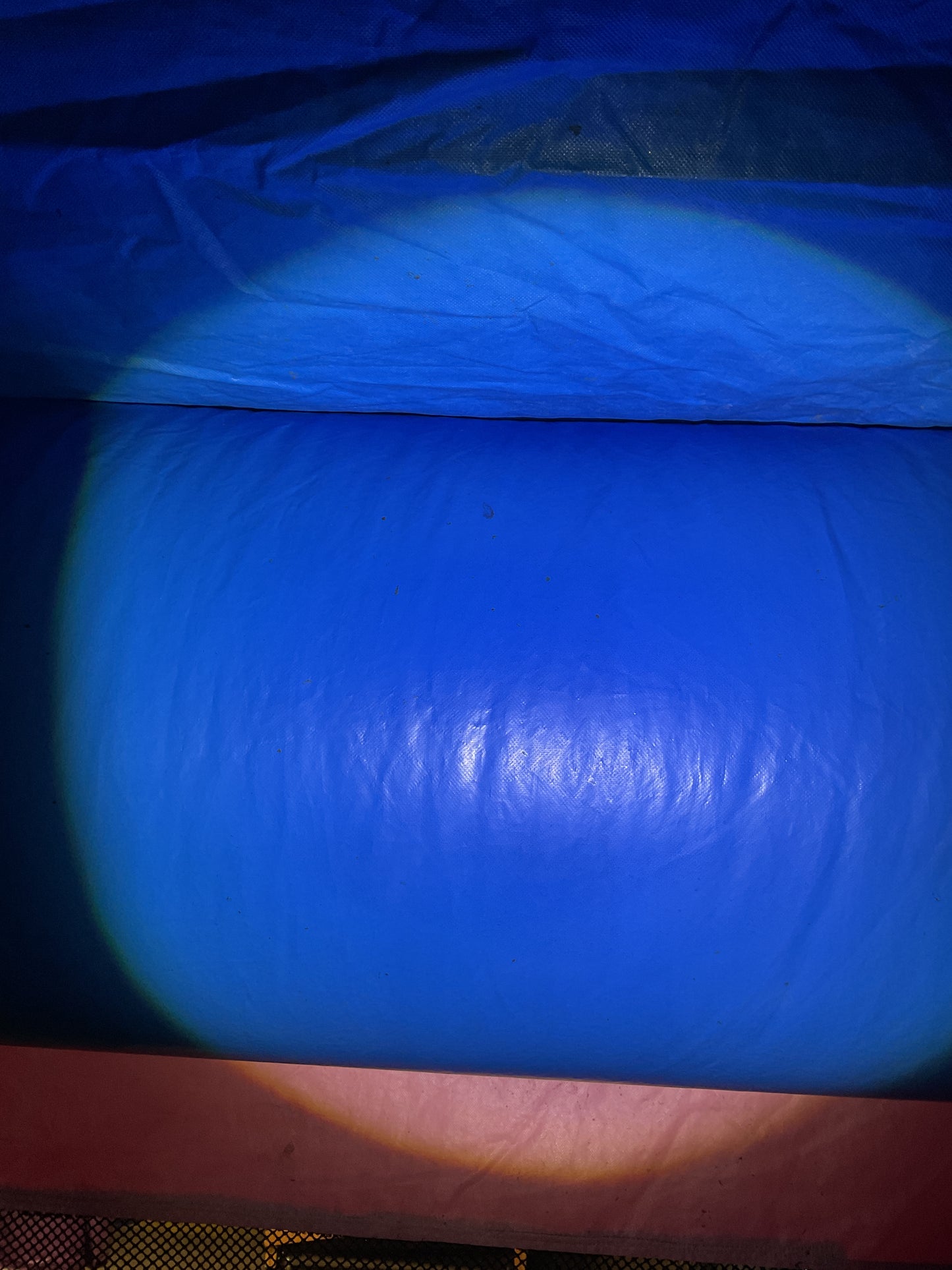 Disney Princess Bounce