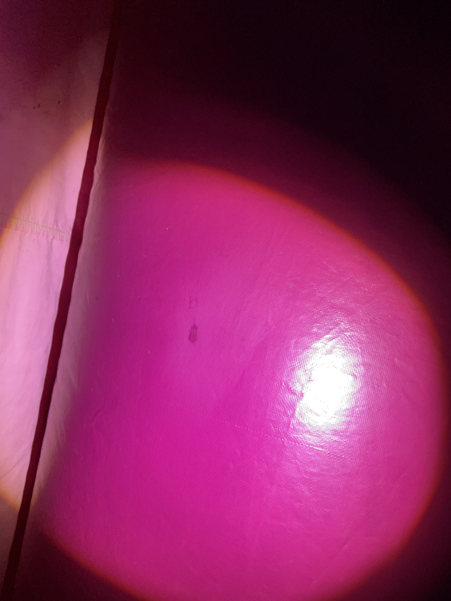 Disney Princess Bounce