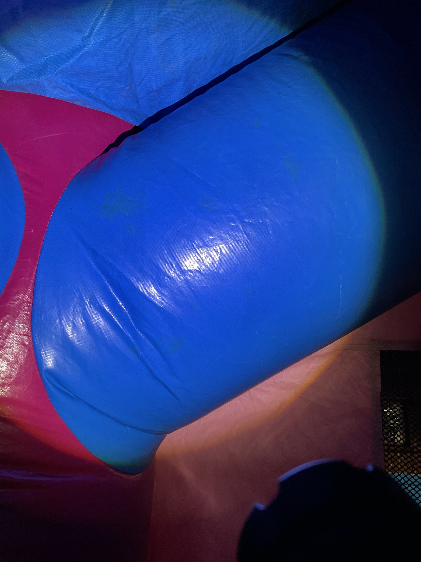 Disney Princess Bounce