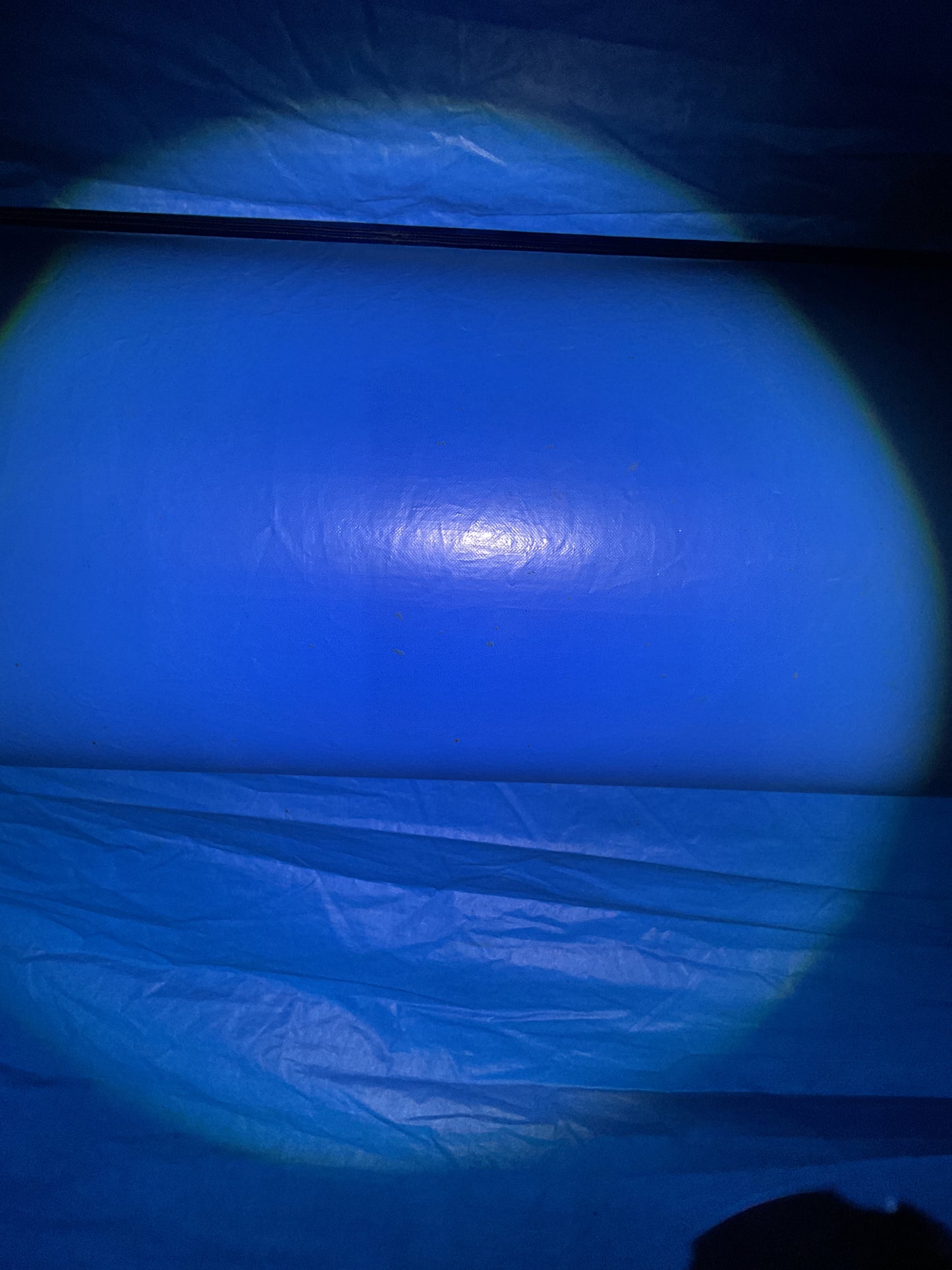 Disney Princess Bounce