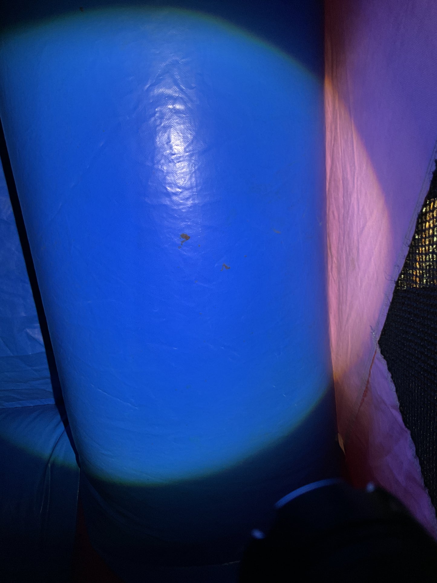 Disney Princess Bounce