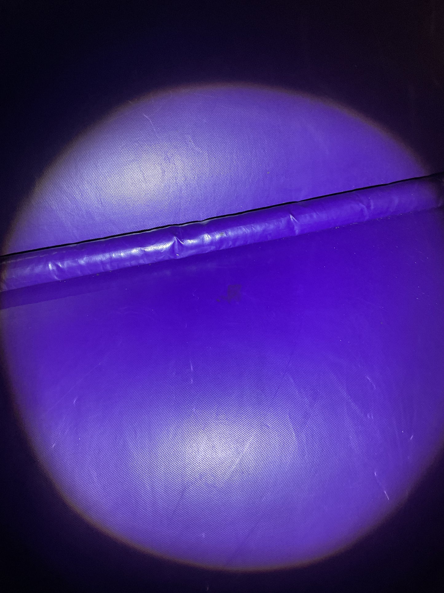 Disney Princess Bounce