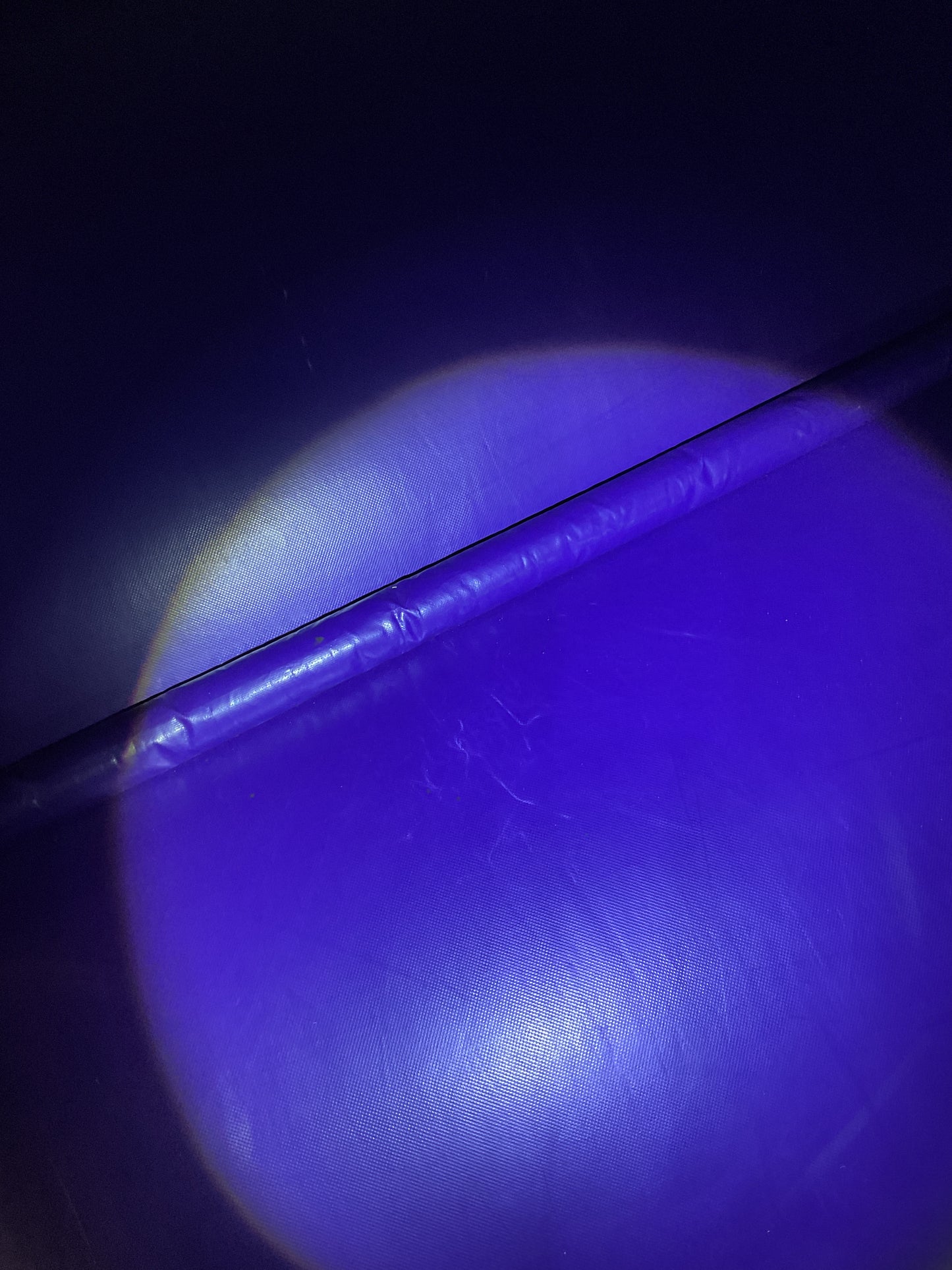 Disney Princess Bounce