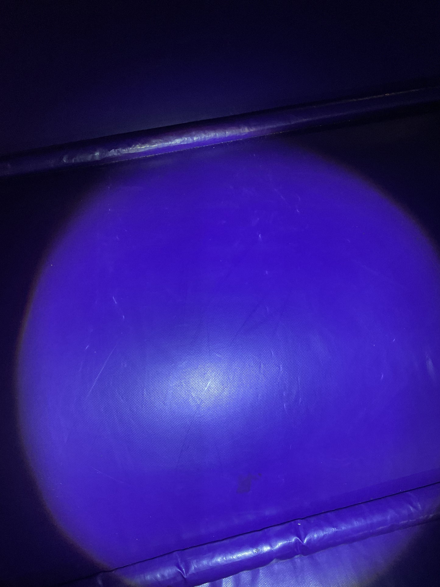 Disney Princess Bounce