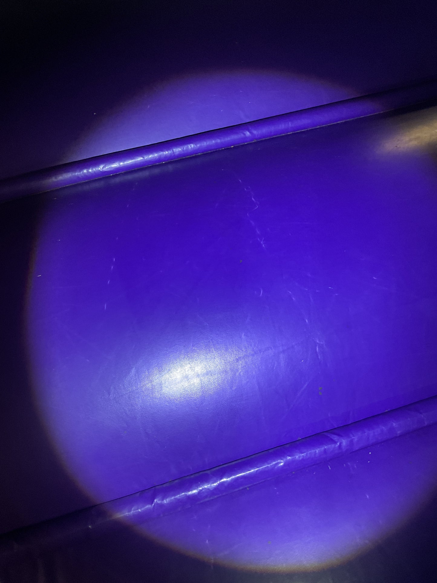 Disney Princess Bounce