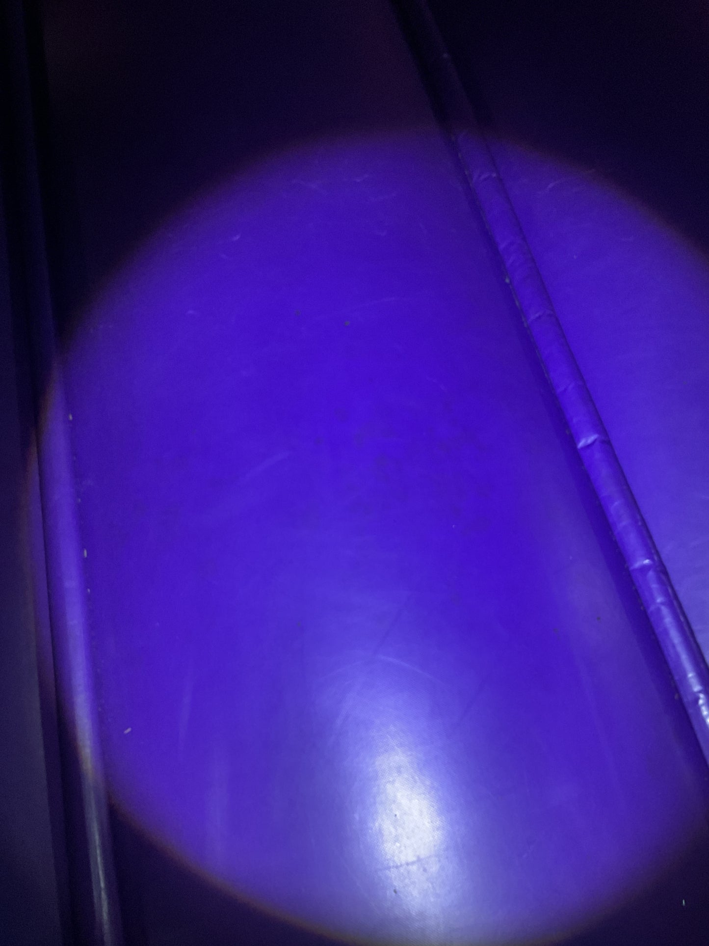 Disney Princess Bounce