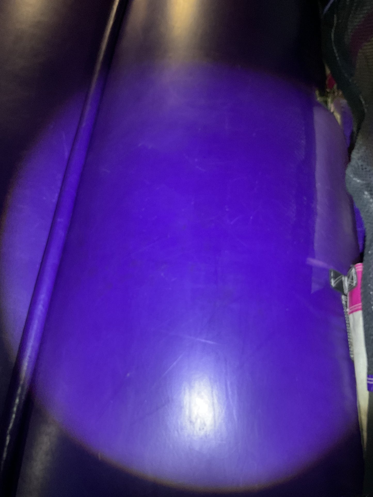 Disney Princess Bounce