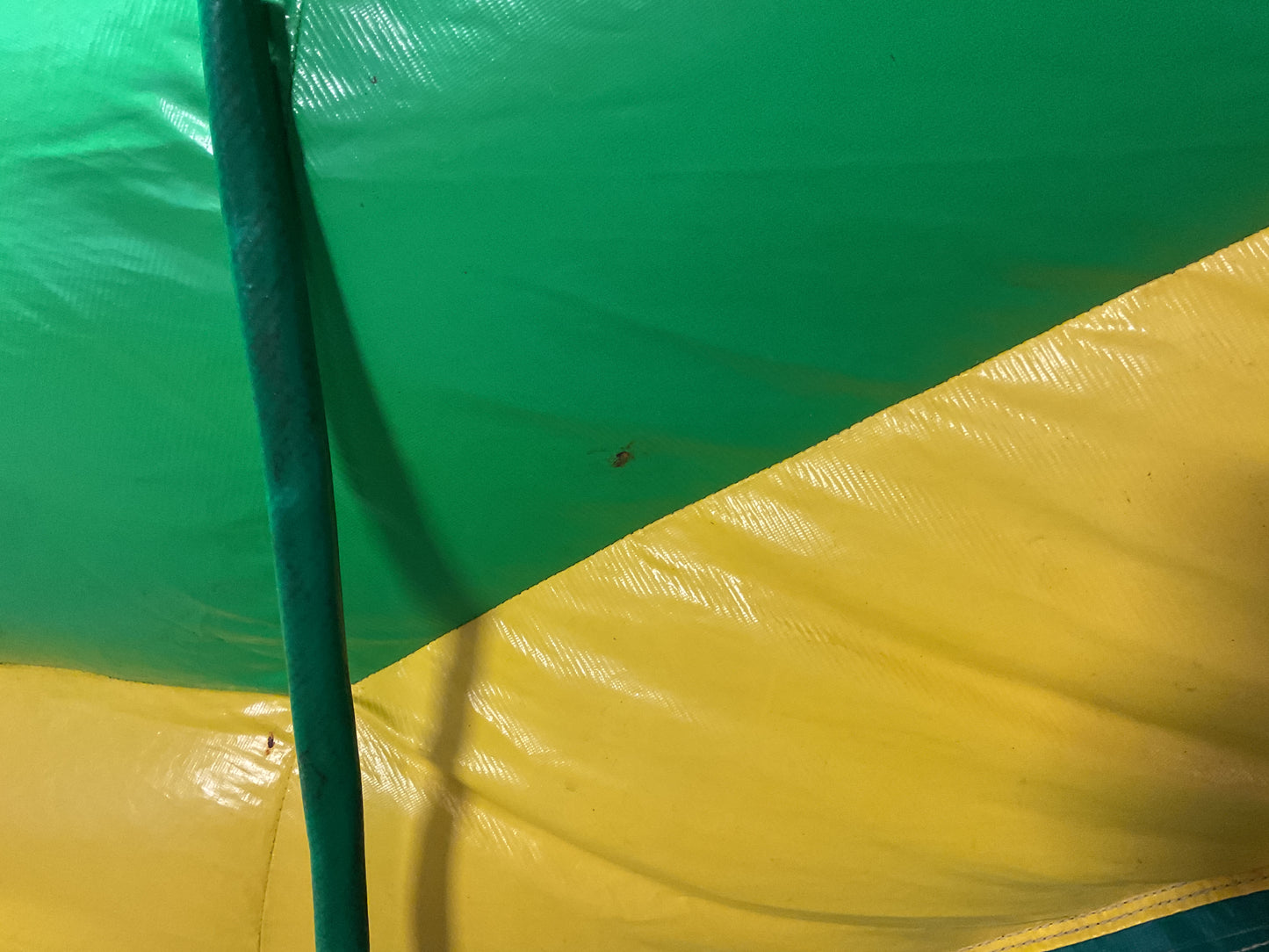 16' Half Pipe Tropical Slide
