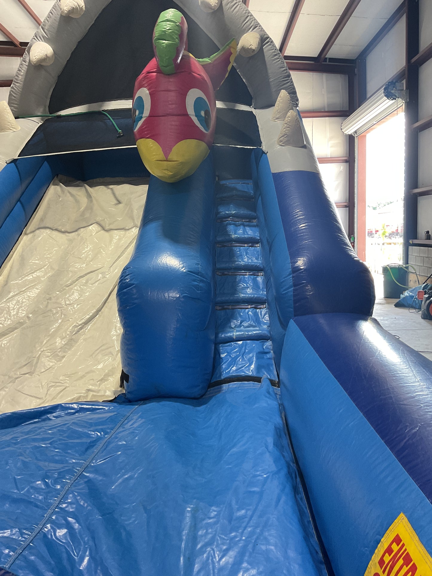 Shark Escape Slide