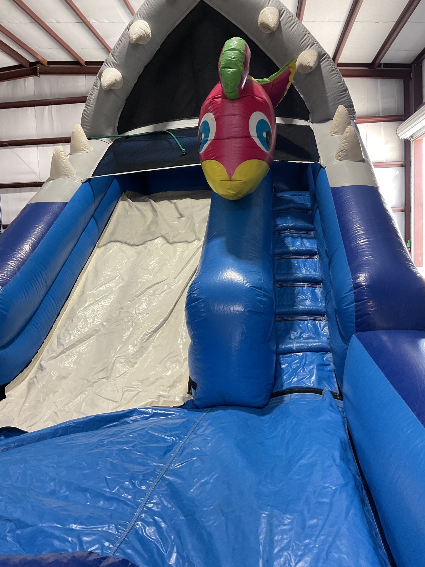Shark Escape Slide