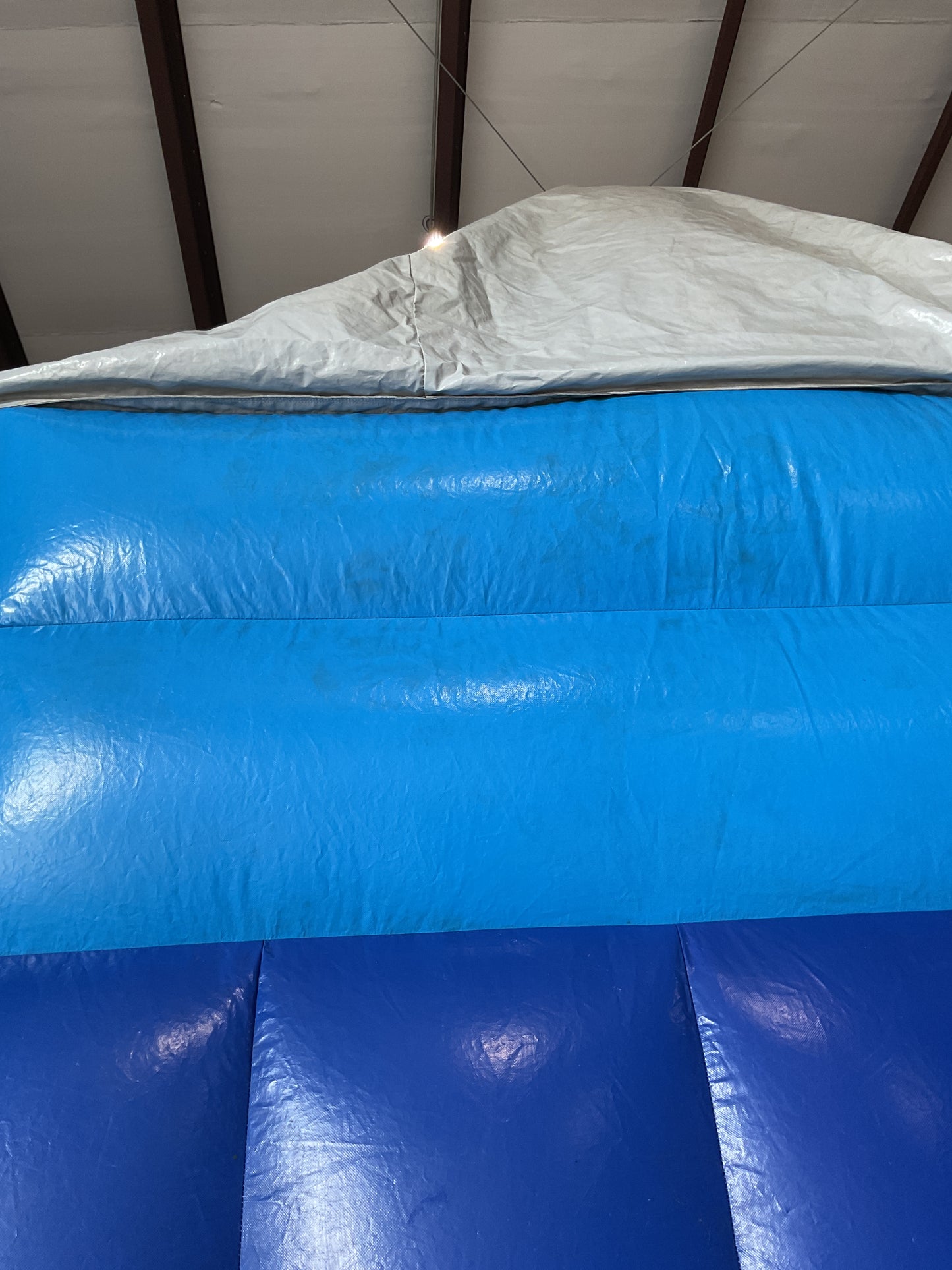 Shark Escape Slide