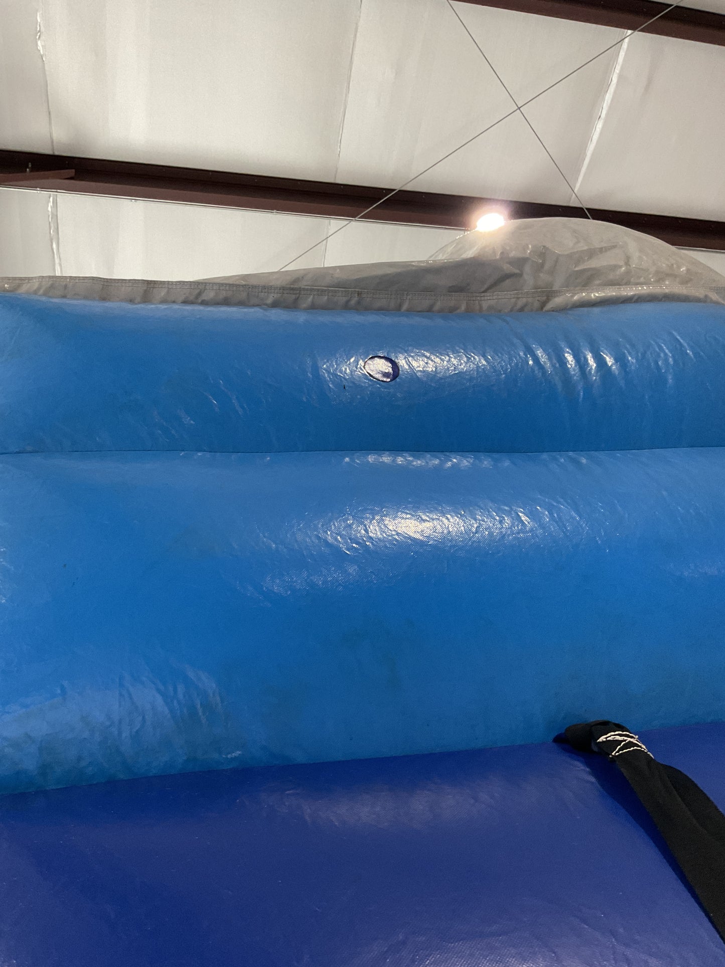 Shark Escape Slide