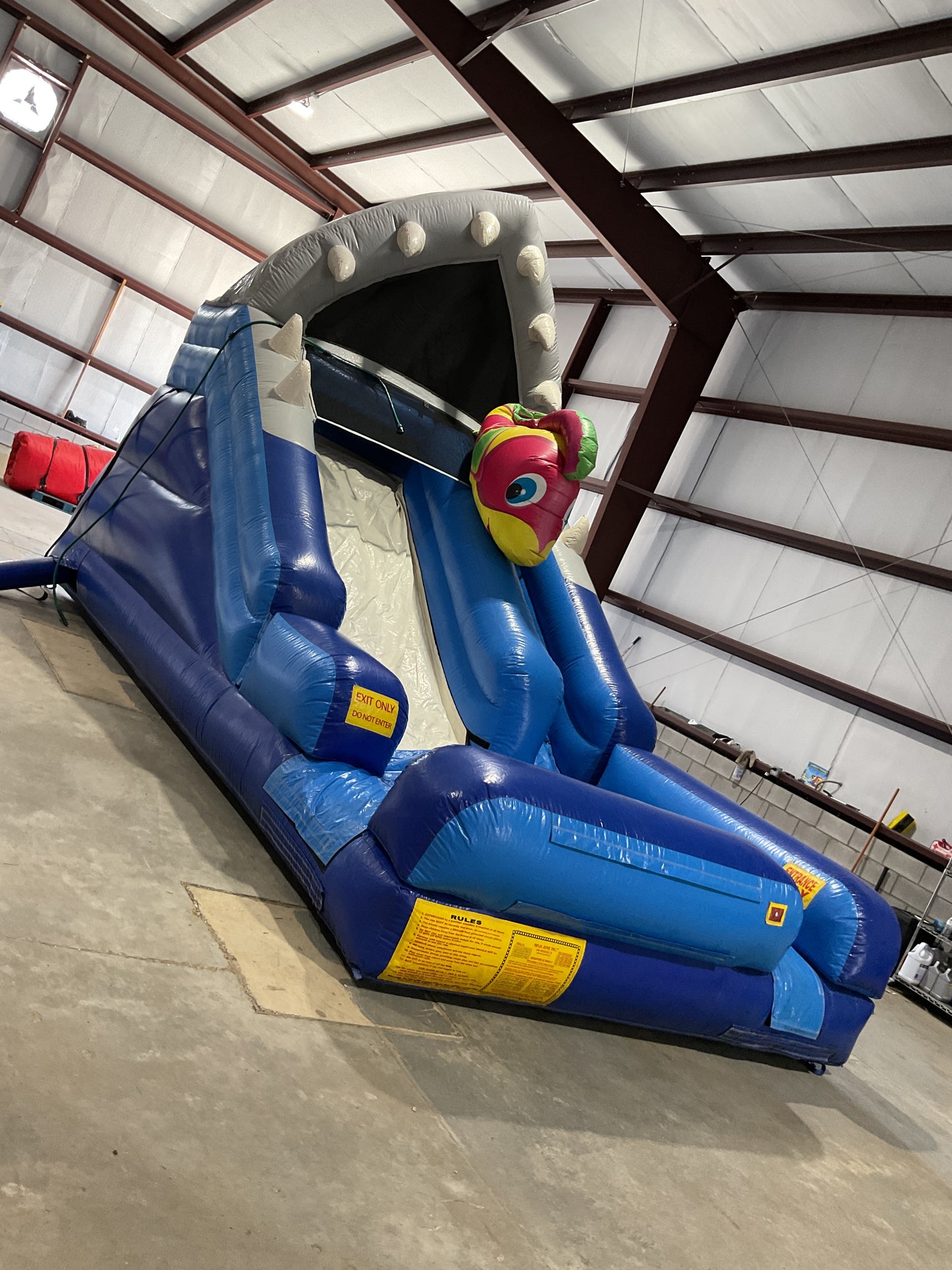 Shark Escape Slide