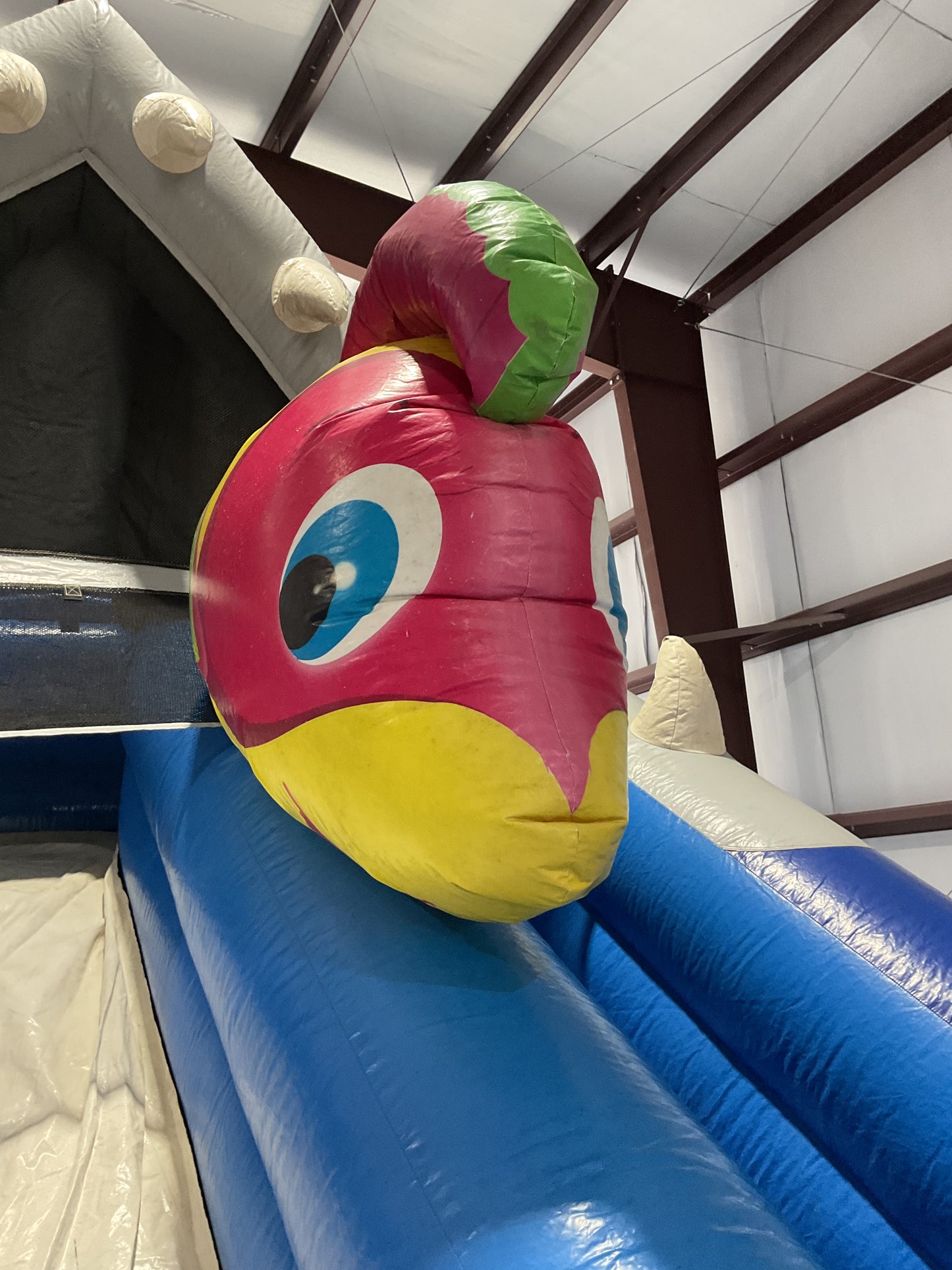 Shark Escape Slide
