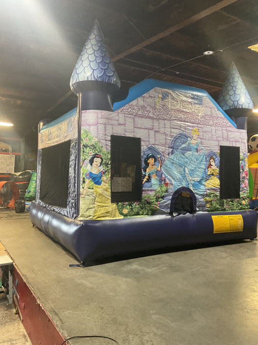 Disney Princess Bounce