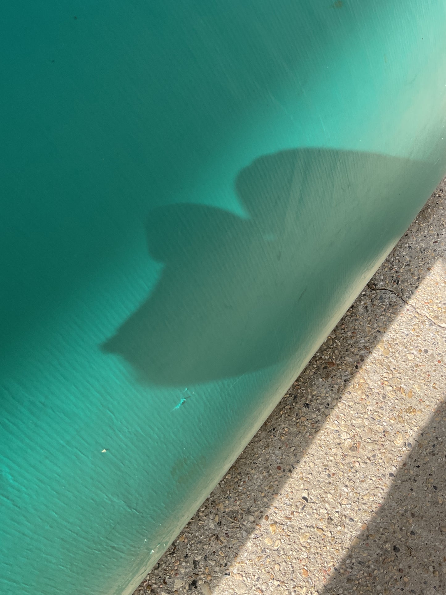 Tropical Jump-n-Slide Combo