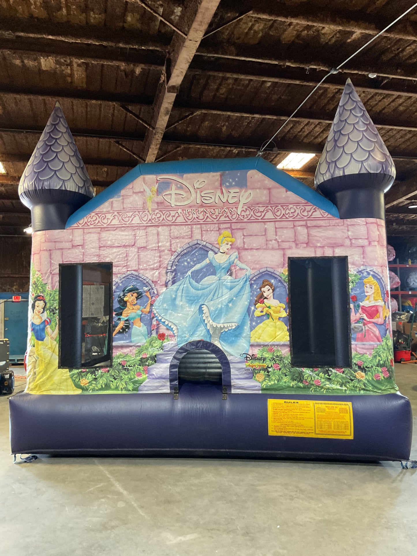 Disney Princess Bounce