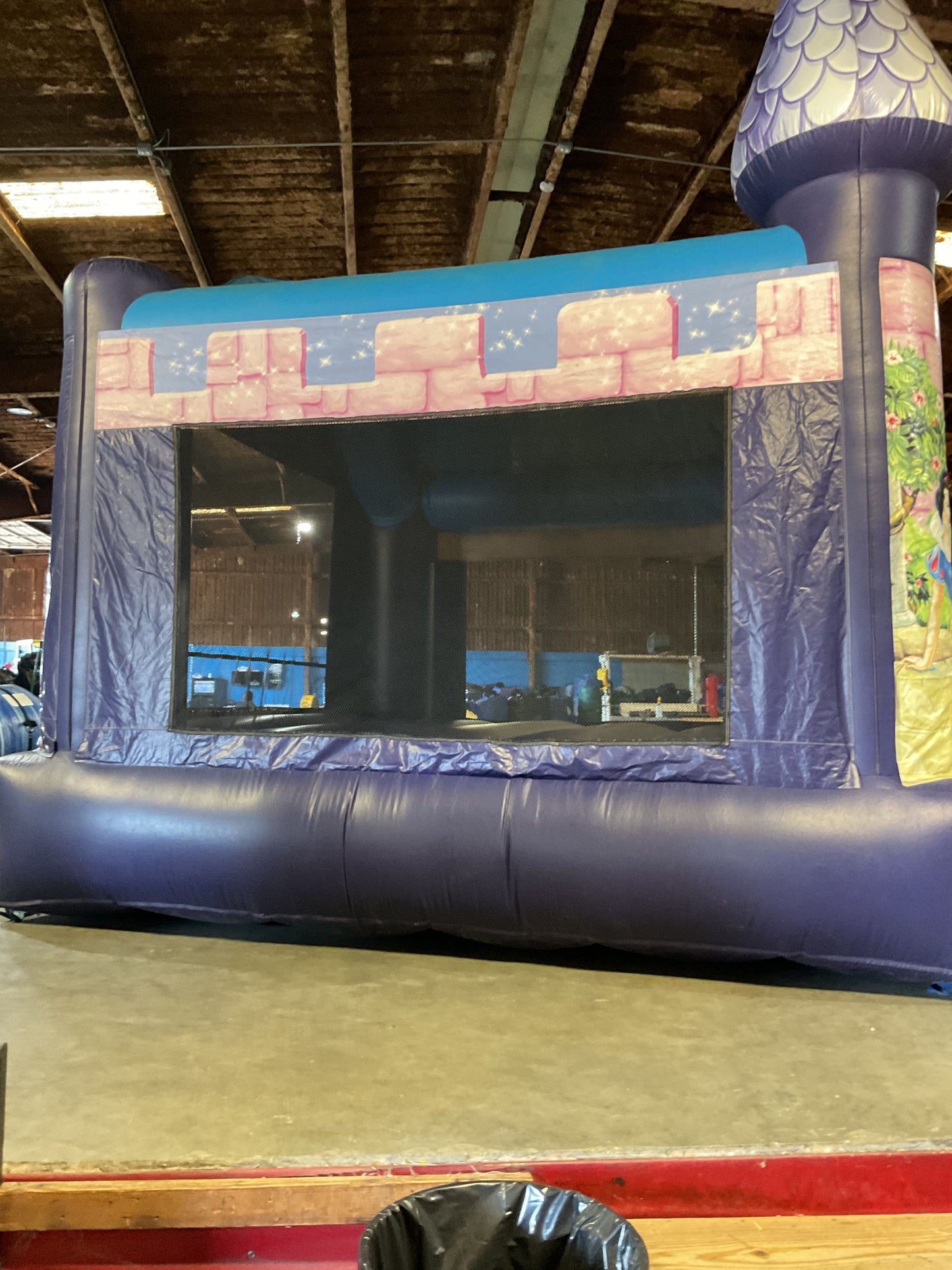 Disney Princess Bounce