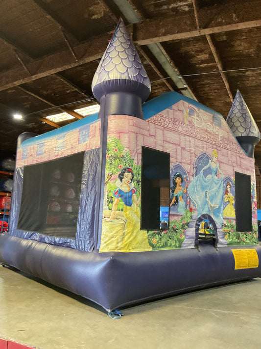 Disney Princess Bounce