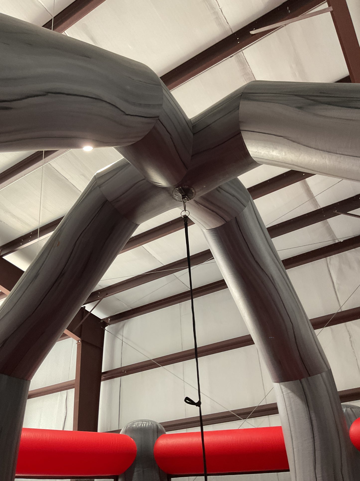 Wrecking Ball Interactive Inflatable