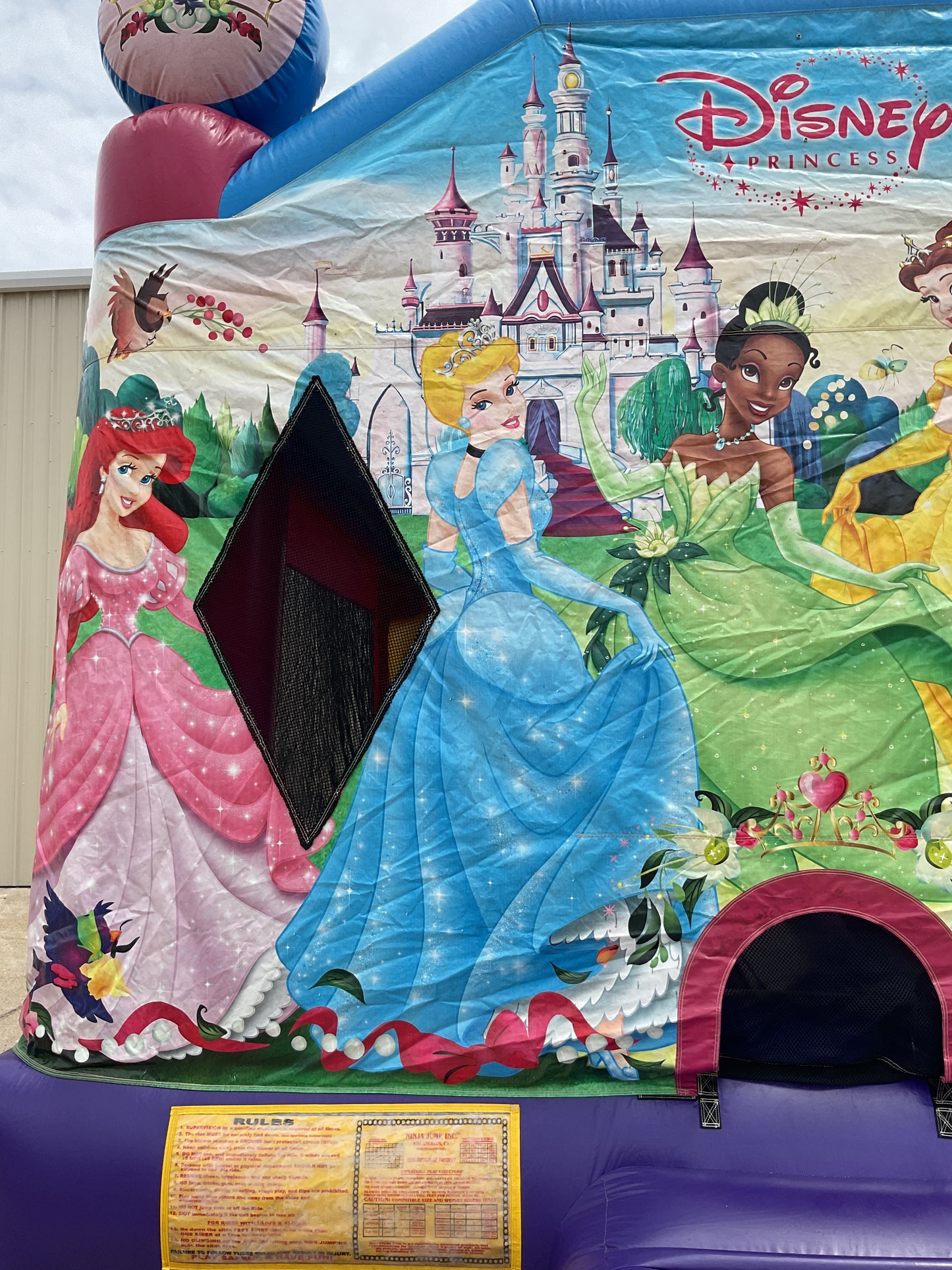 Disney Princess C4