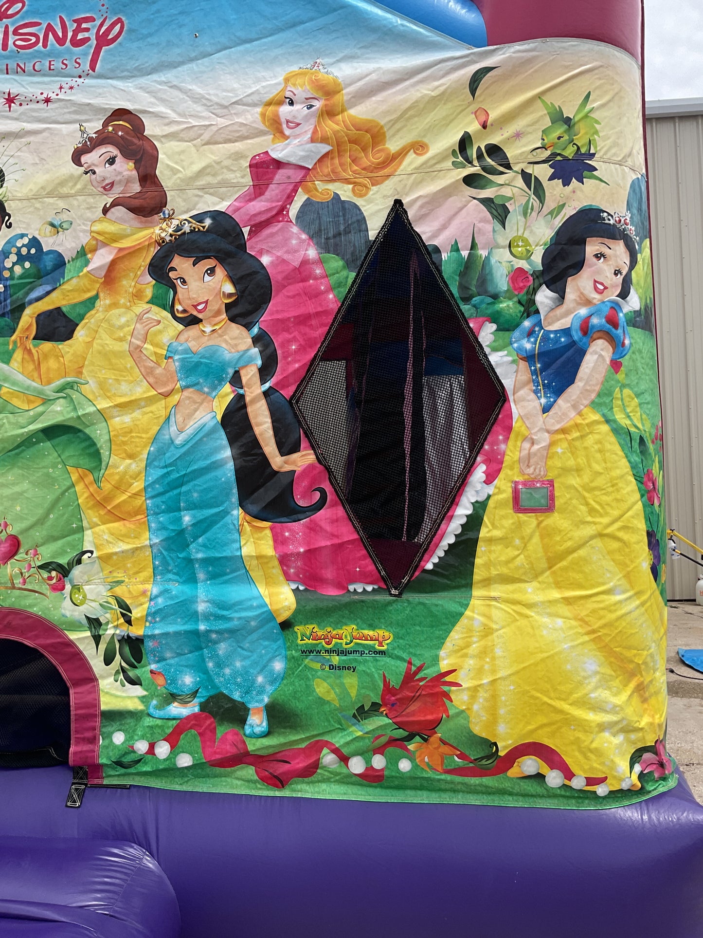 Disney Princess C4