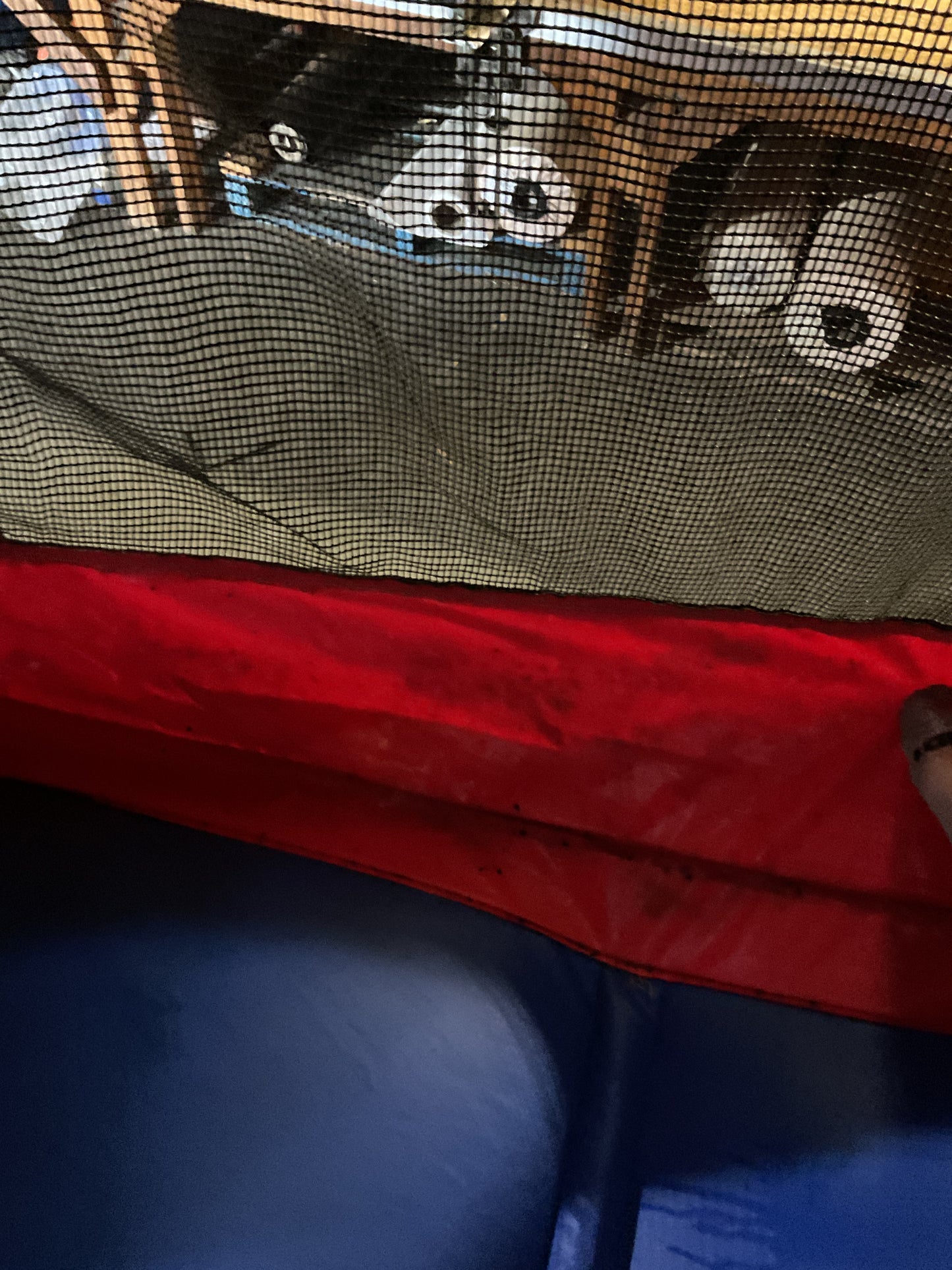 Spiderman Bounce
