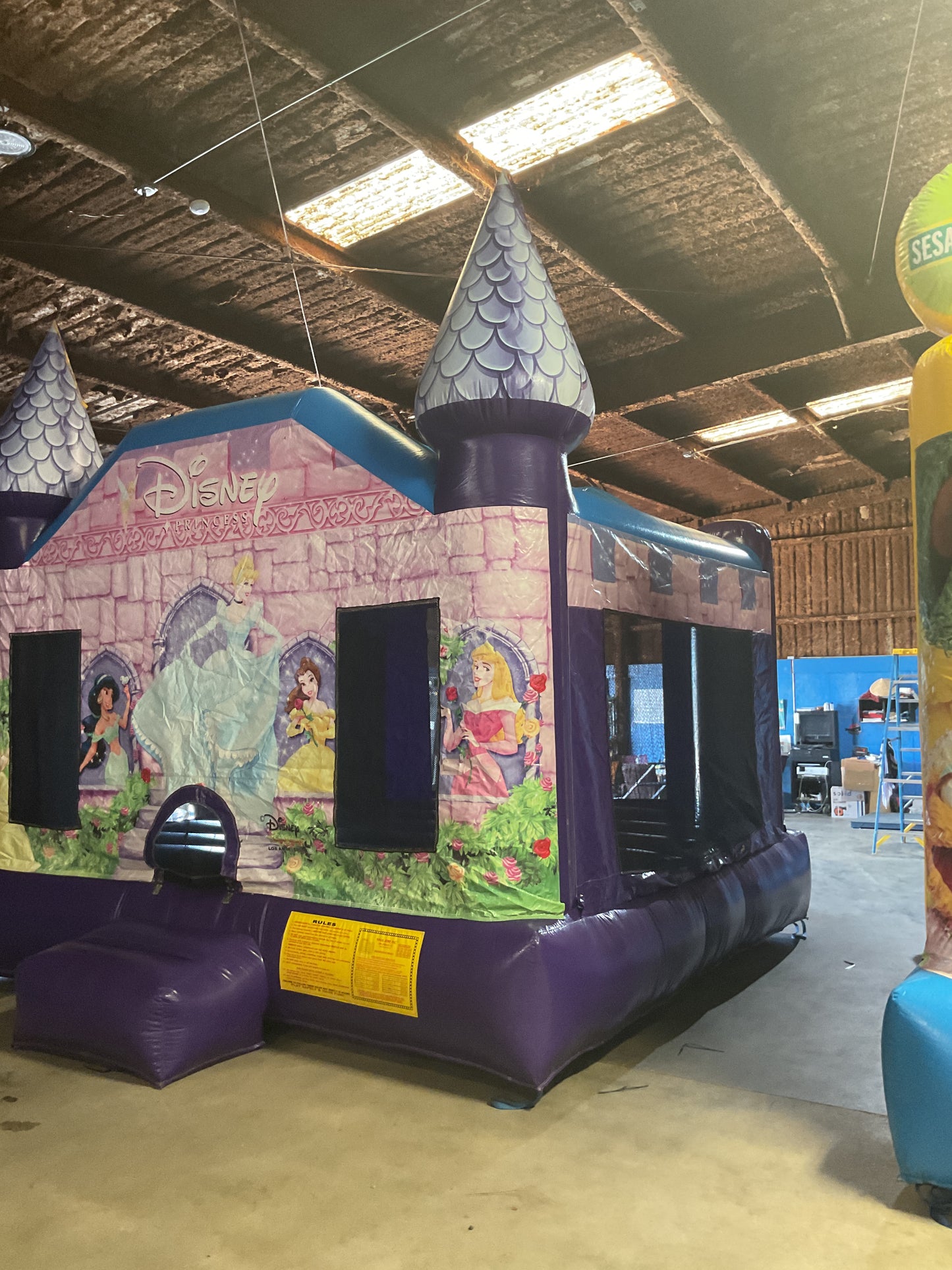 Disney Princess Bounce