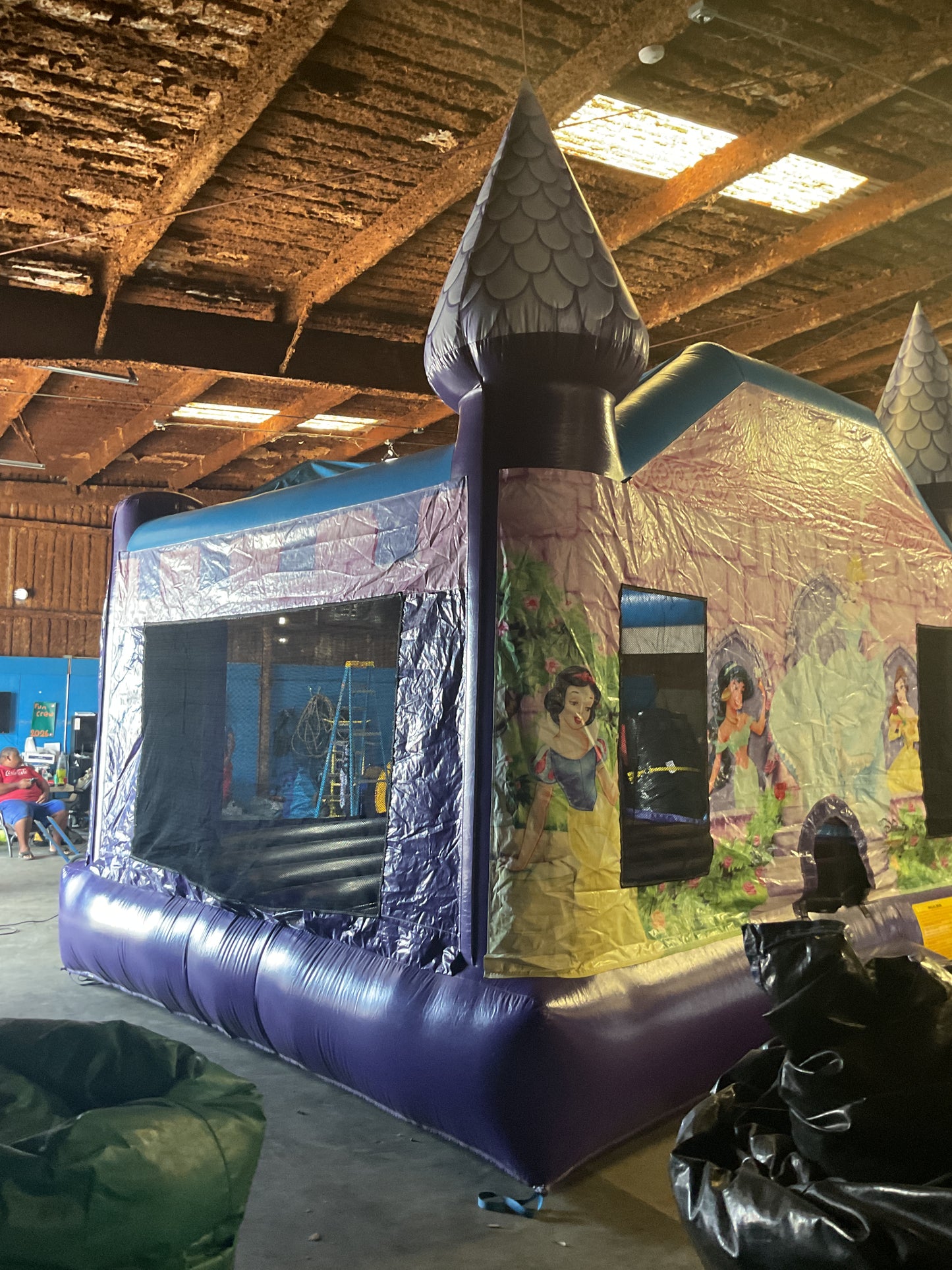 Disney Princess Bounce