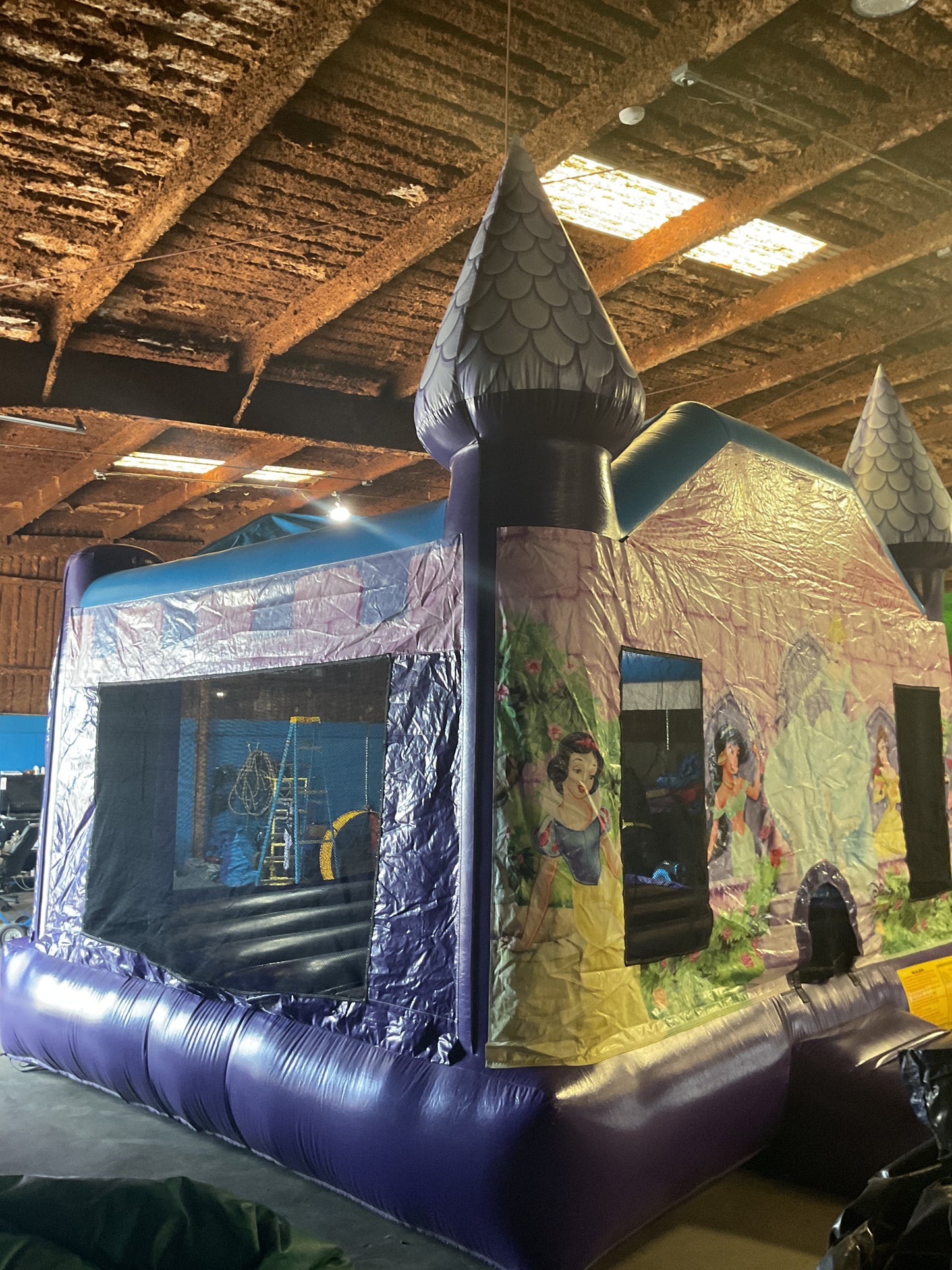 Disney Princess Bounce