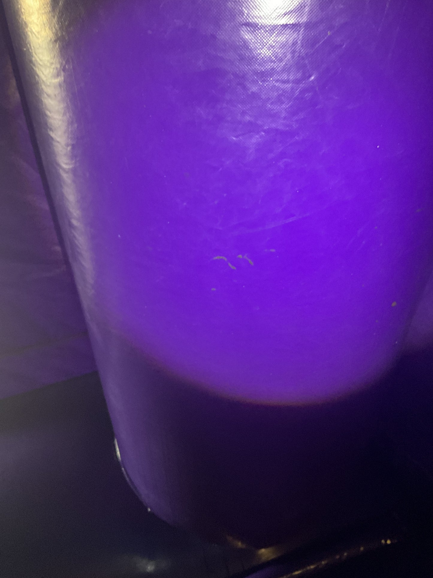 Disney Princess Bounce