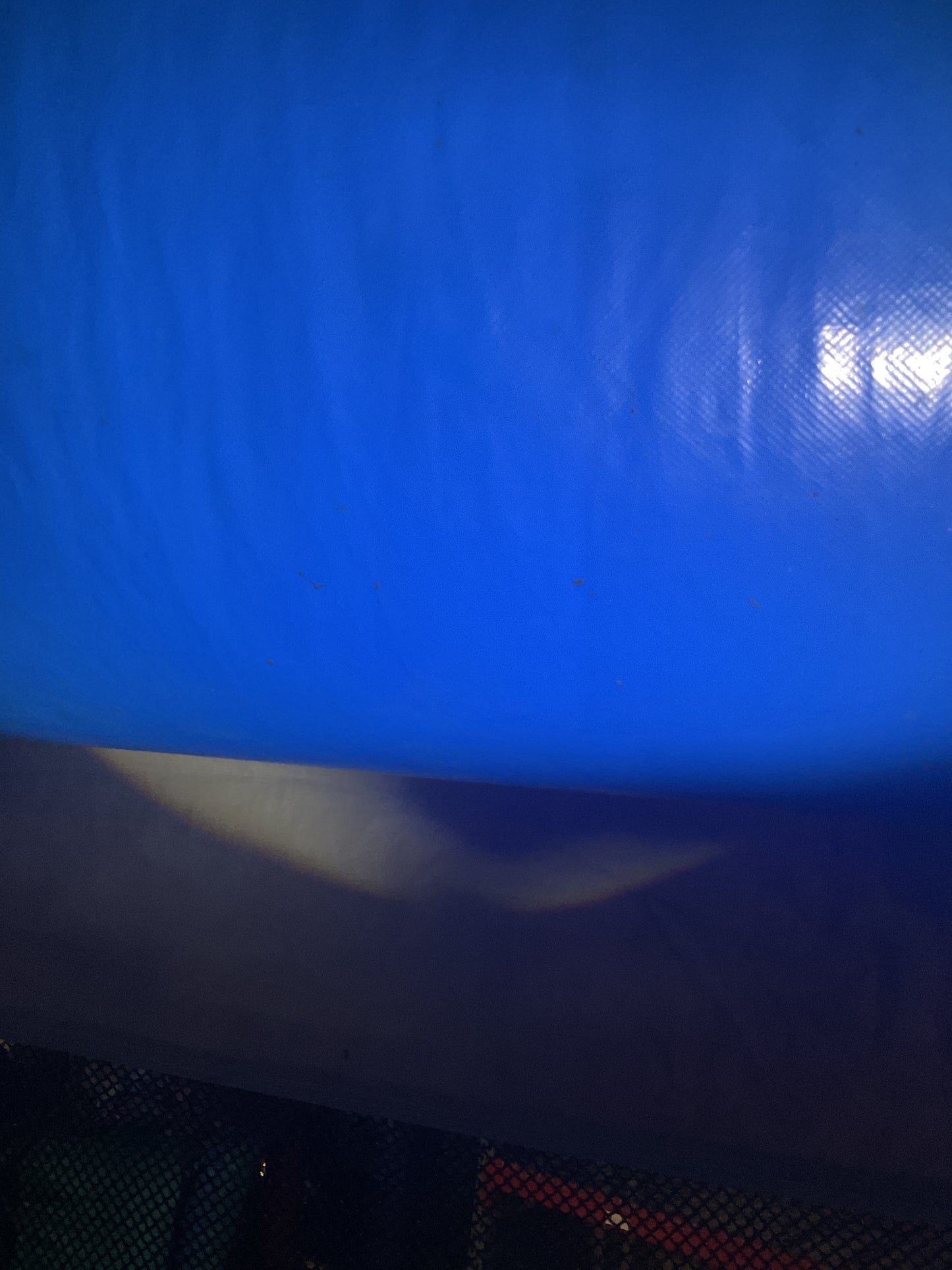 Disney Princess Bounce