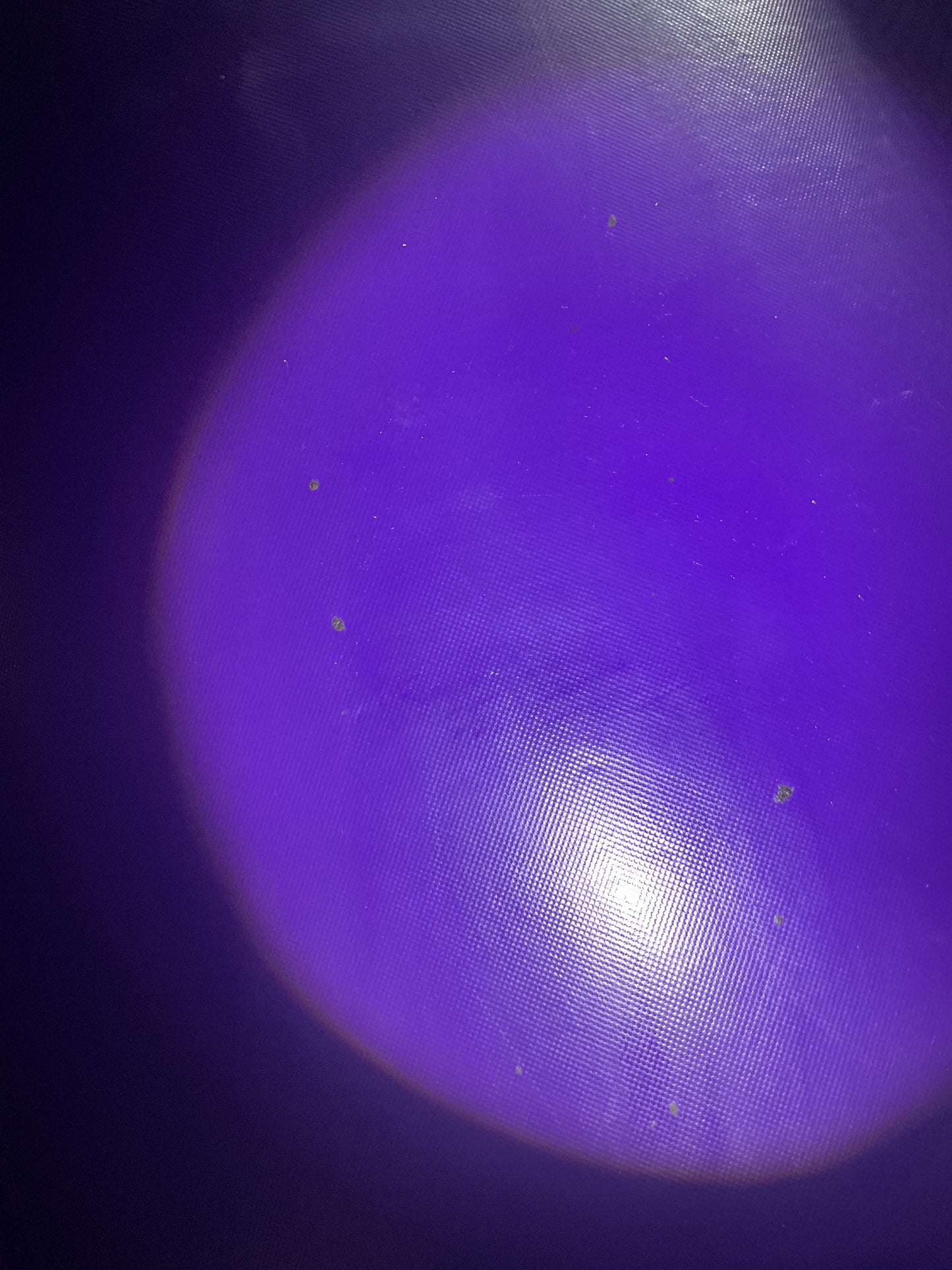 Disney Princess Bounce