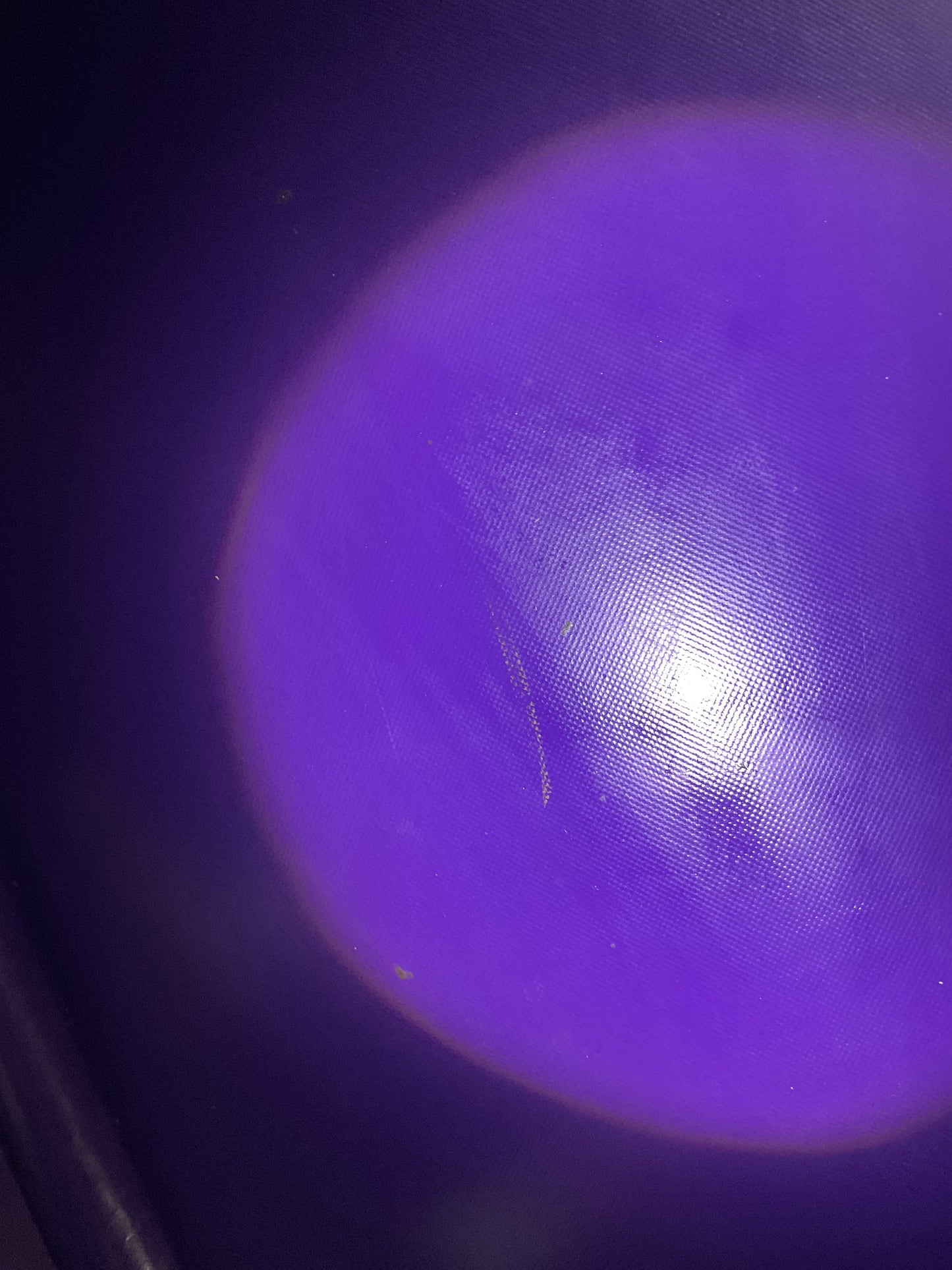 Disney Princess Bounce