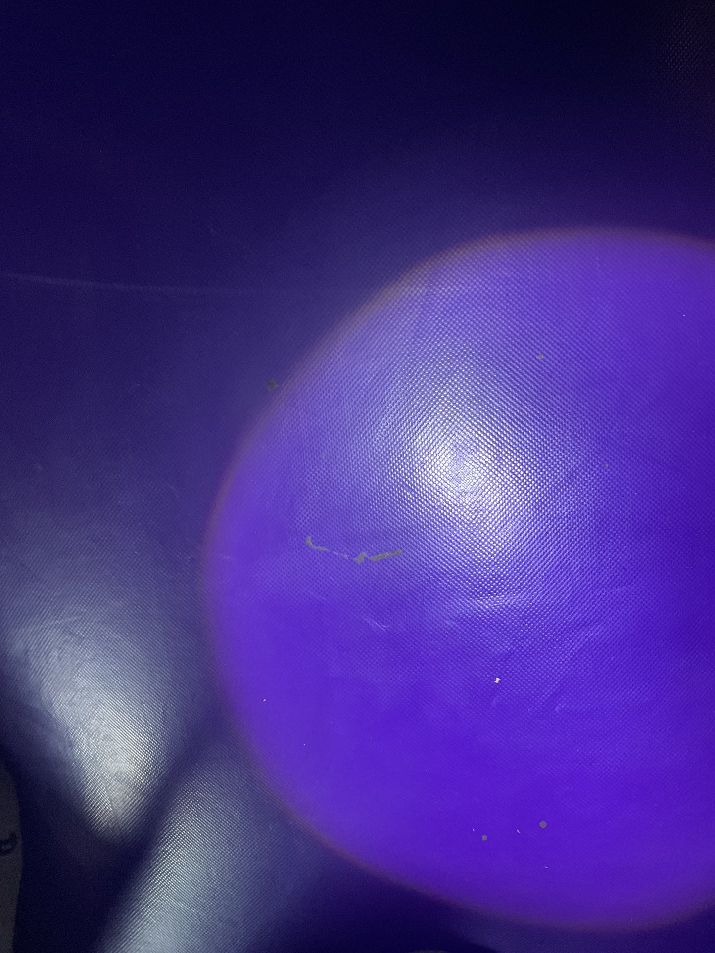 Disney Princess Bounce