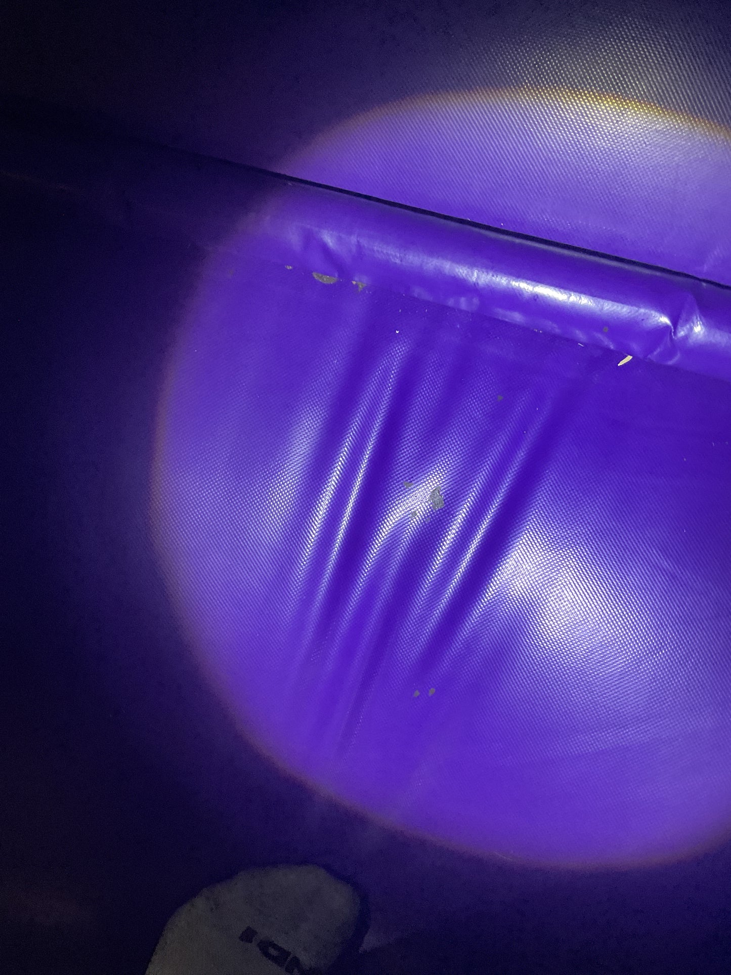Disney Princess Bounce