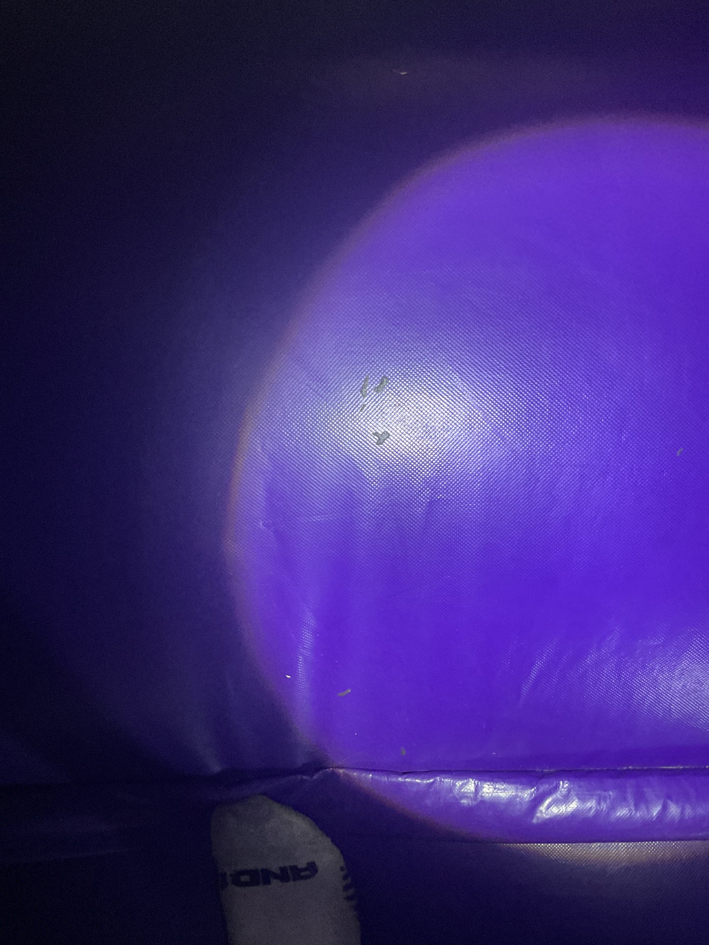 Disney Princess Bounce