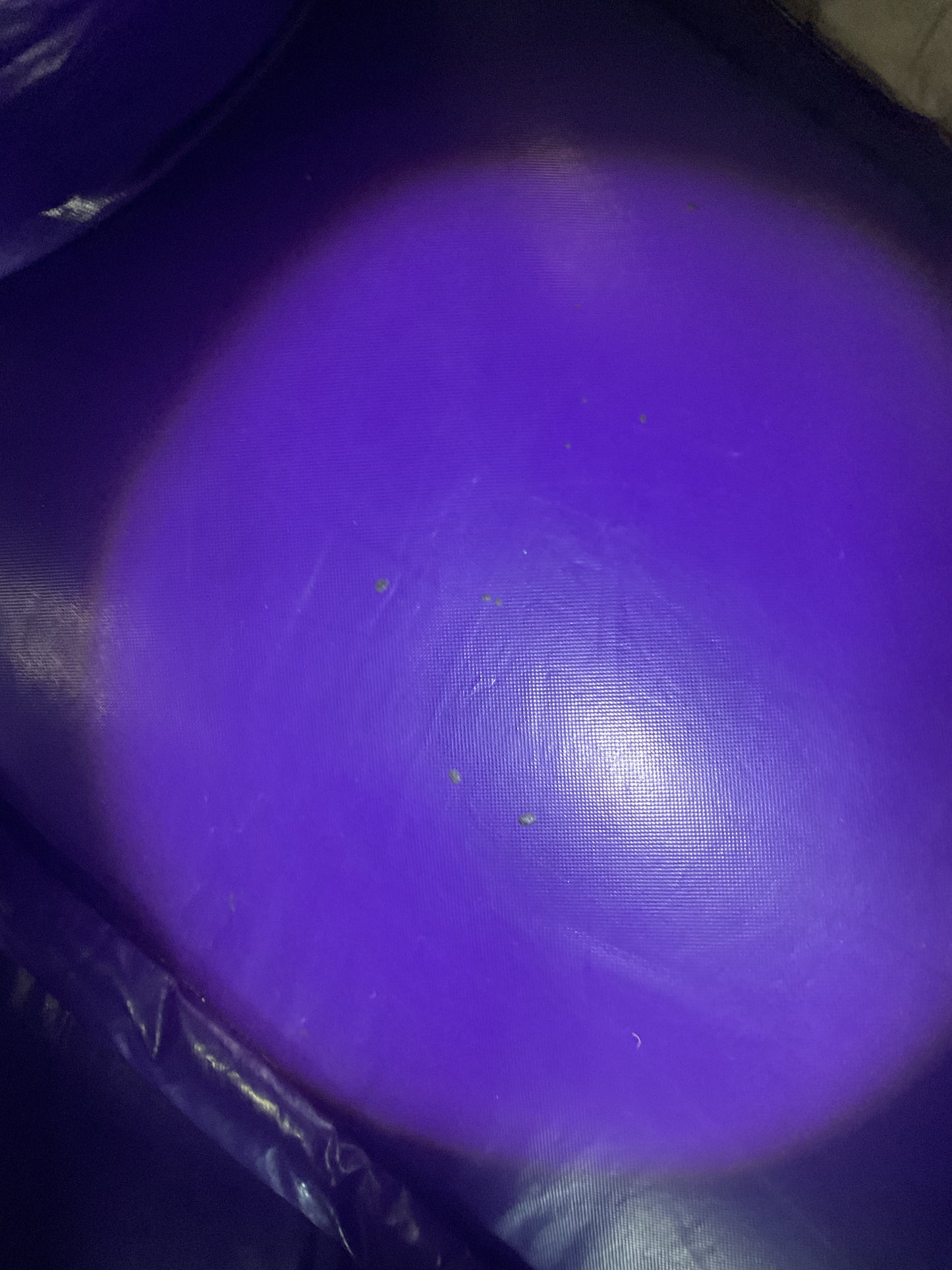 Disney Princess Bounce