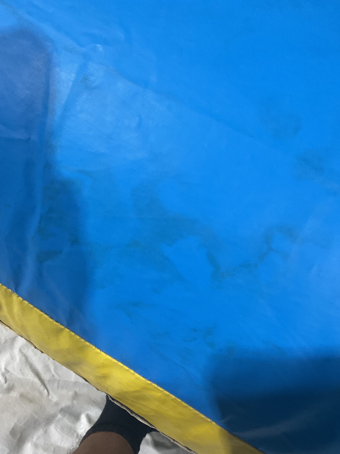 Wild Splash dual lane Slip-n-Slide