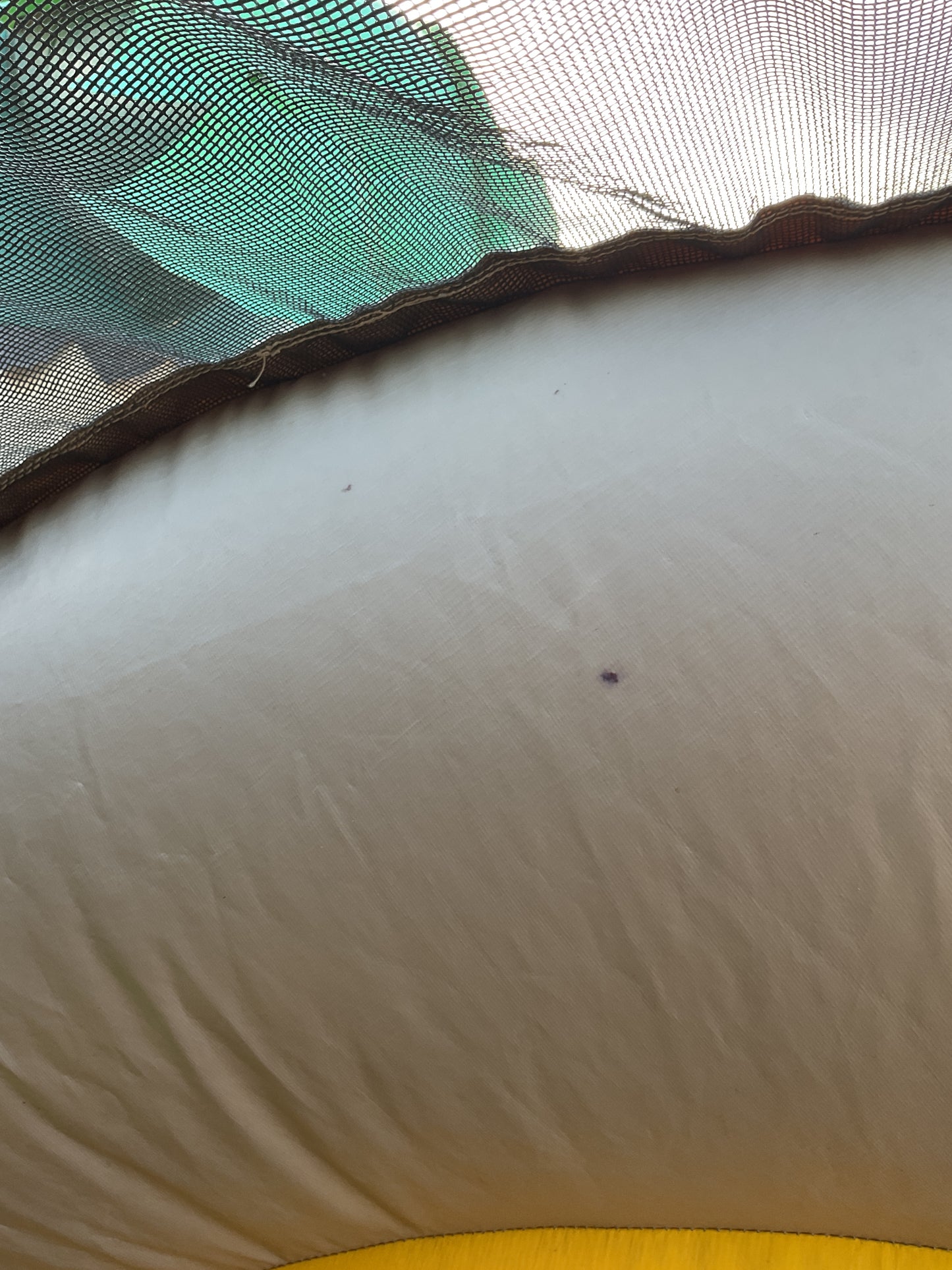 Tropical Wet Dry Combo with pool