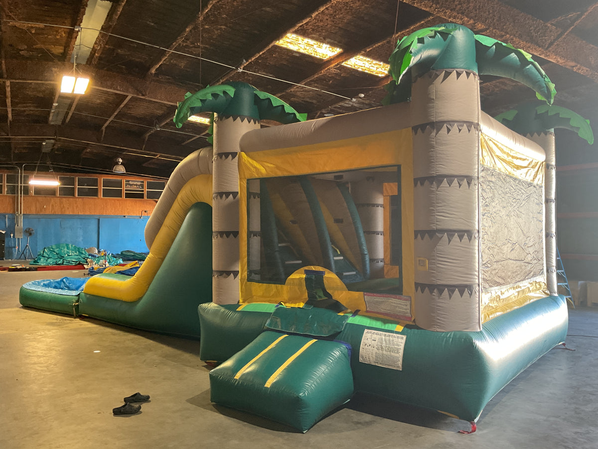 Dual Lane Tropical Combo with detachable pool