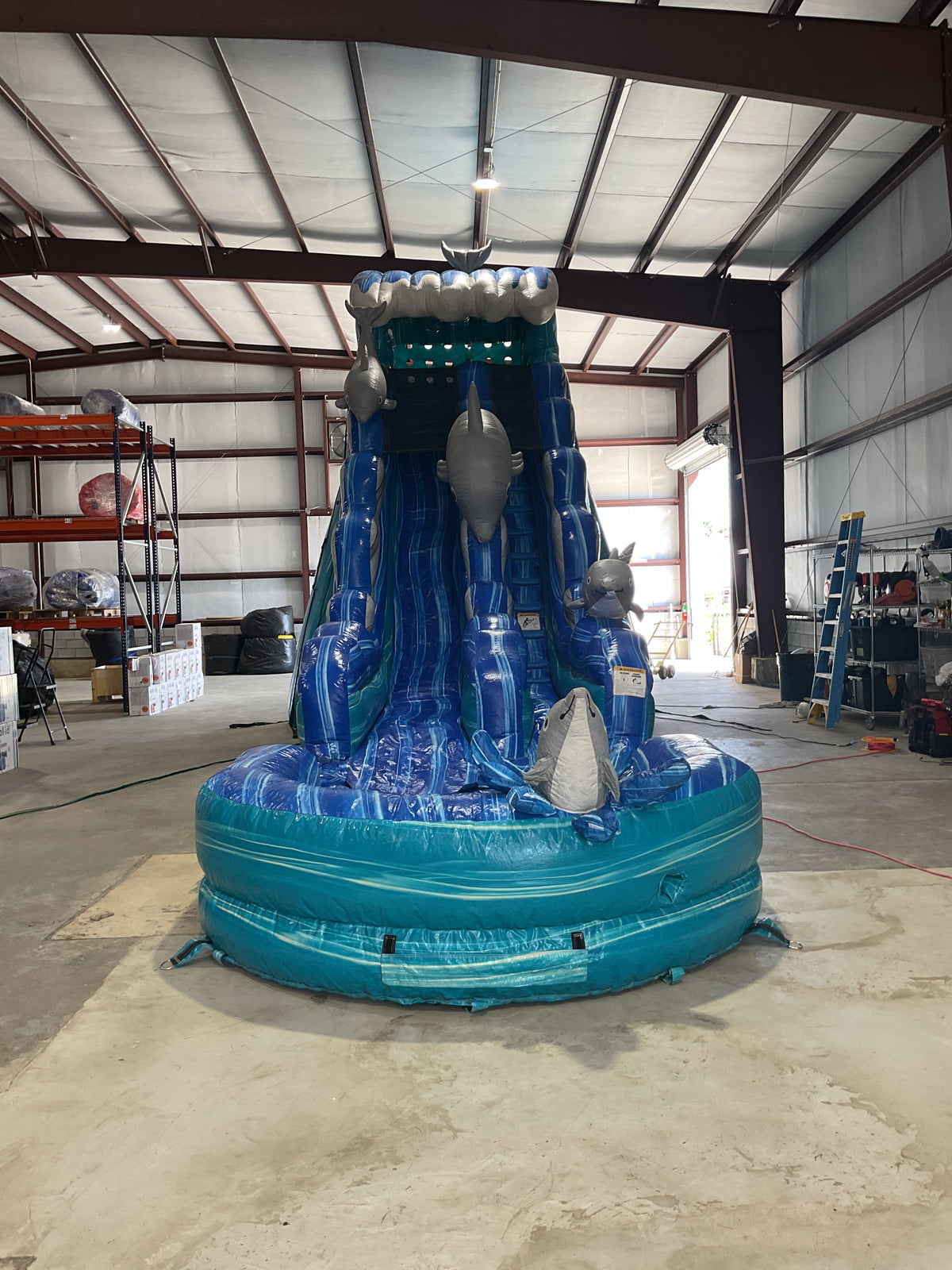 19' Dolphin Slide with pool