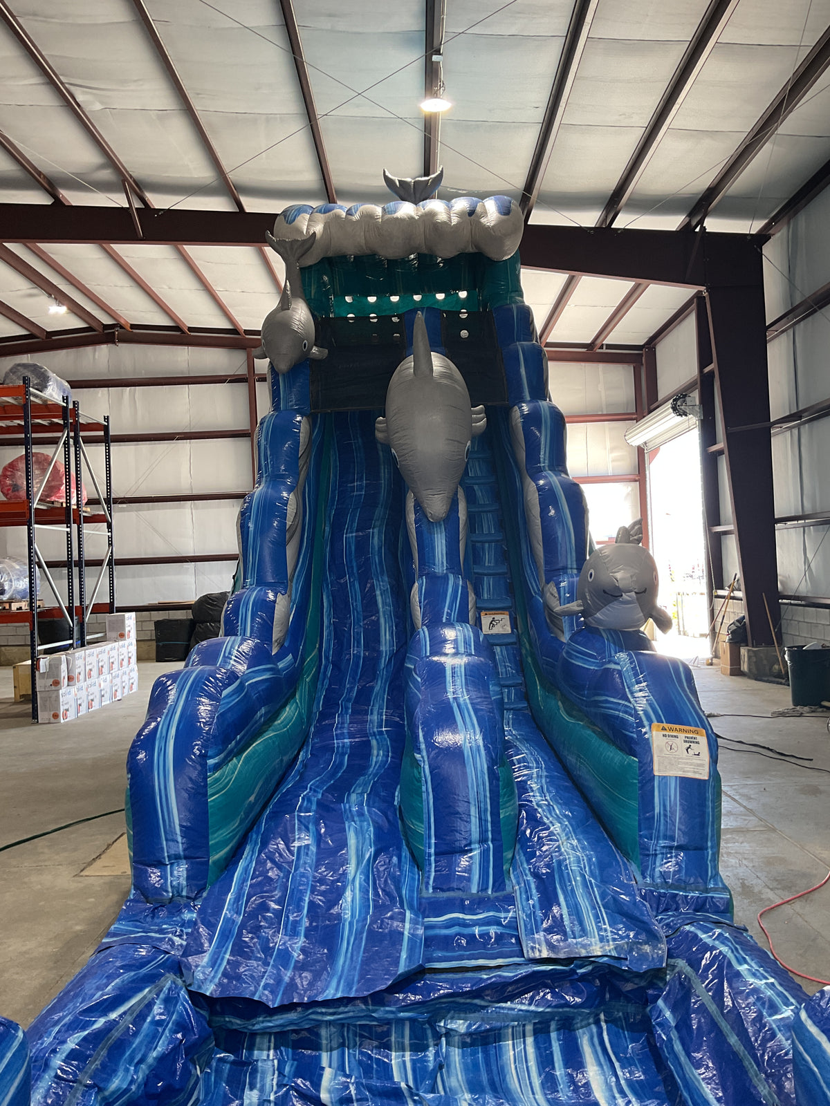 19' Dolphin Slide with pool