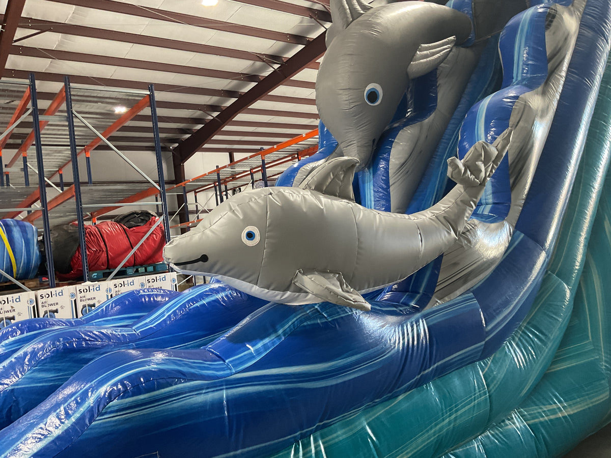 19' Dolphin Slide with pool