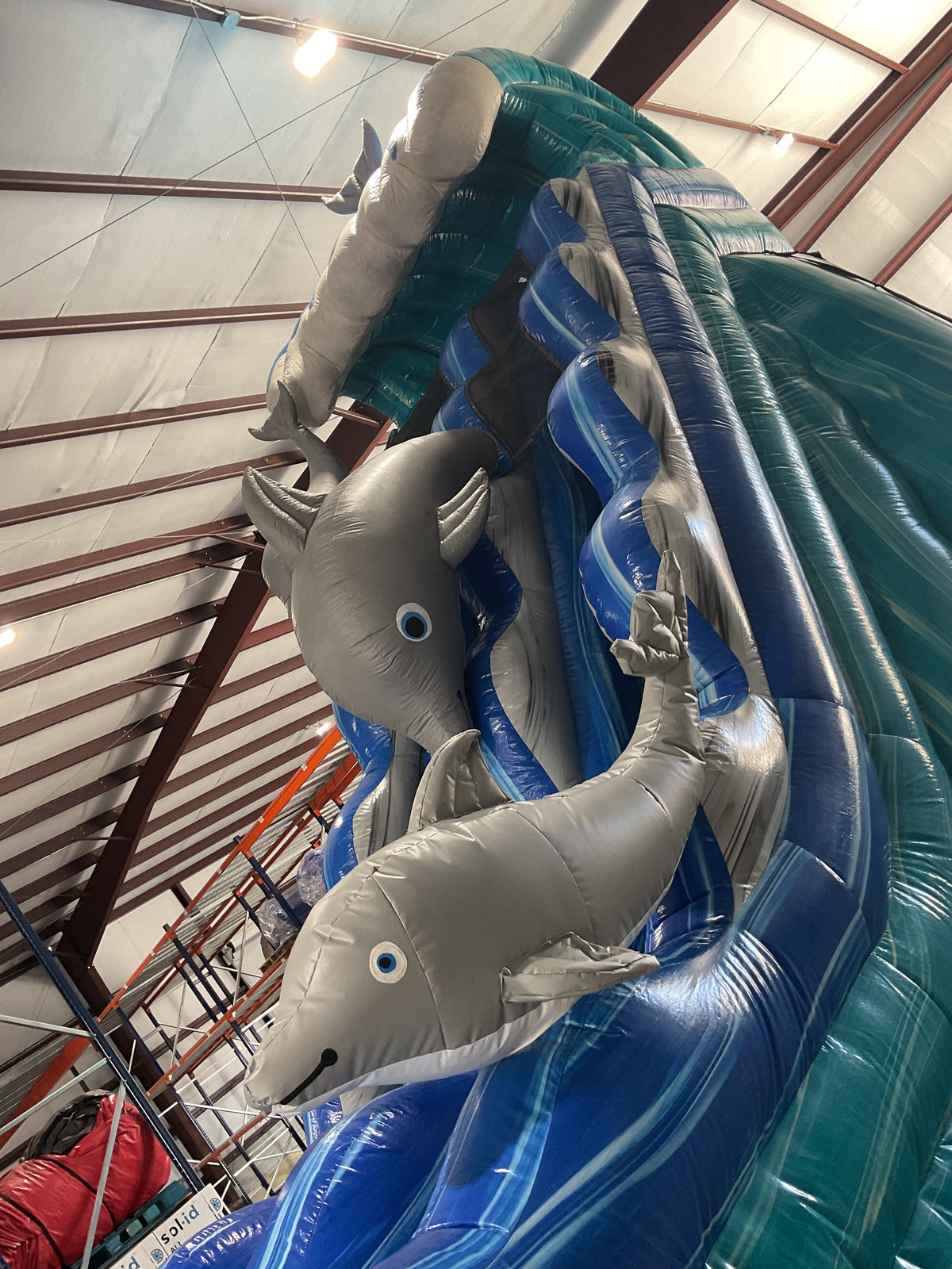 19' Dolphin Slide with pool