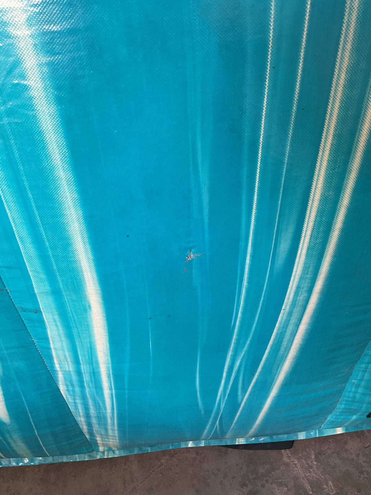 19' Dolphin Slide with pool